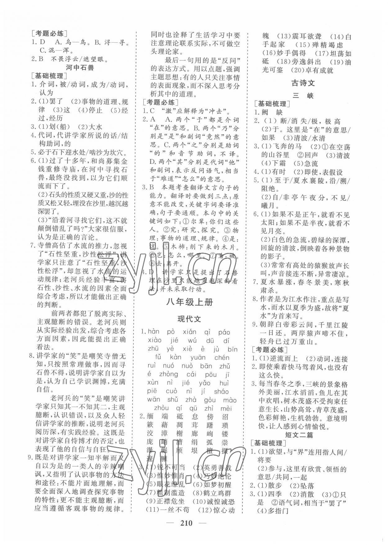 2022年點(diǎn)金考案語文 參考答案第5頁