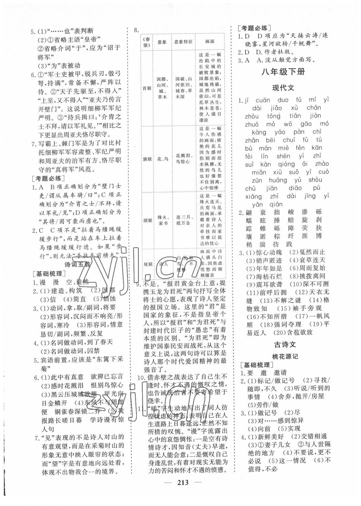 2022年點(diǎn)金考案語文 參考答案第8頁