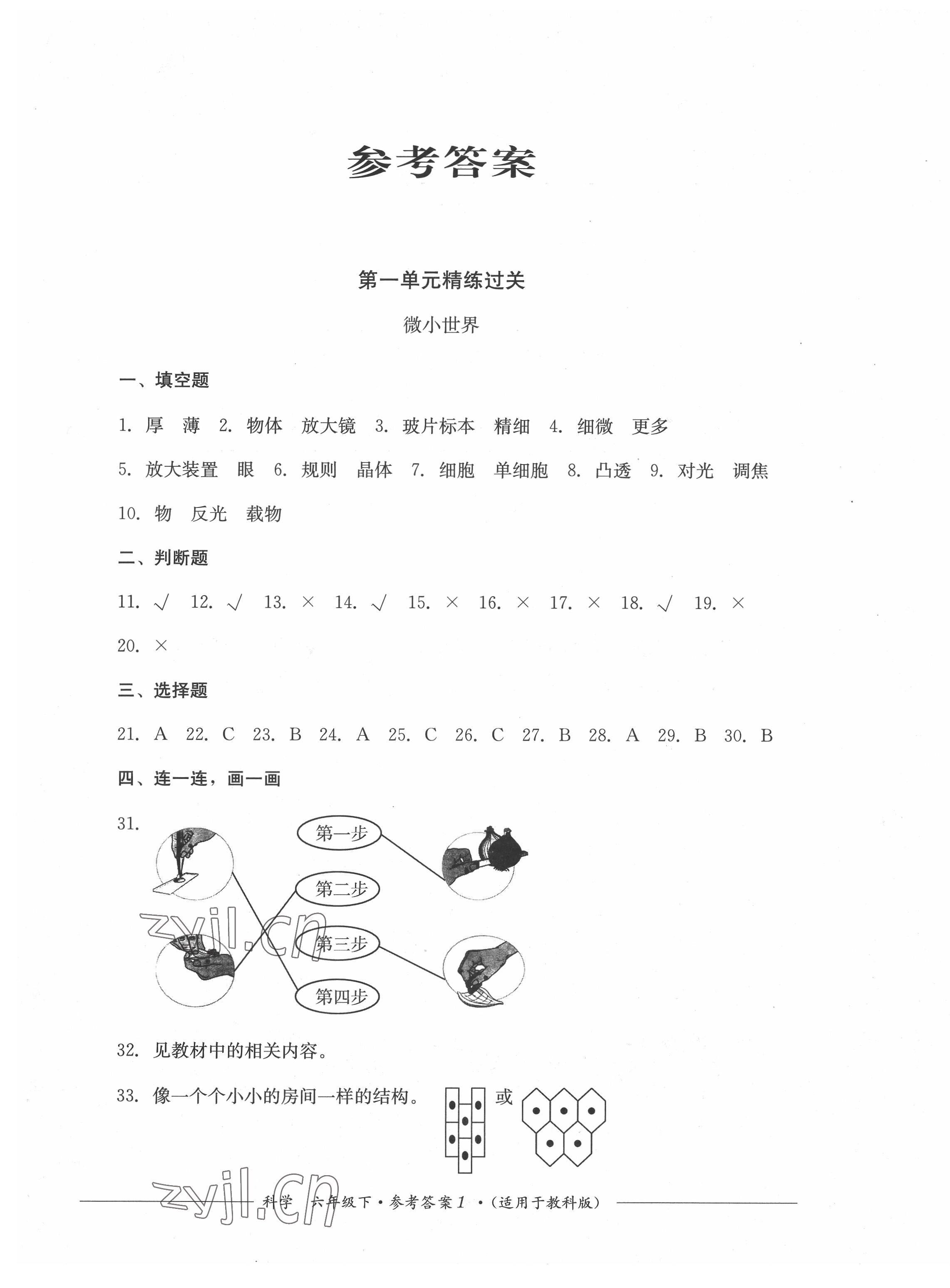 2022年精練過關四川教育出版社六年級科學下冊教科版 第1頁