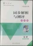 2022年人教金學(xué)典同步解析與測(cè)評(píng)學(xué)考練九年級(jí)化學(xué)下冊(cè)人教版廣東專(zhuān)版