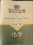 2022年精練過關(guān)四川教育出版社九年級(jí)化學(xué)下冊(cè)人教版