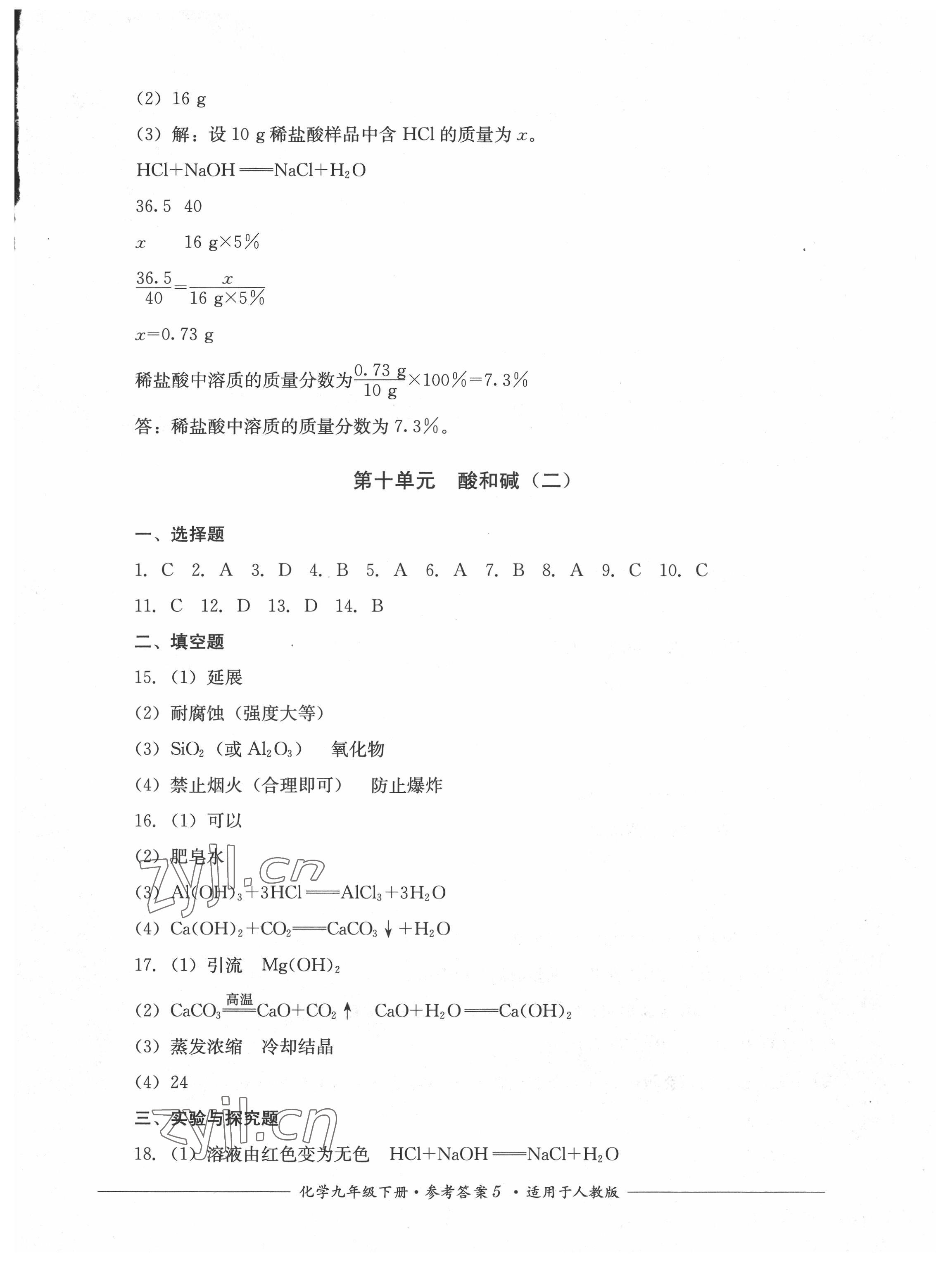 2022年精练过关四川教育出版社九年级化学下册人教版 第5页