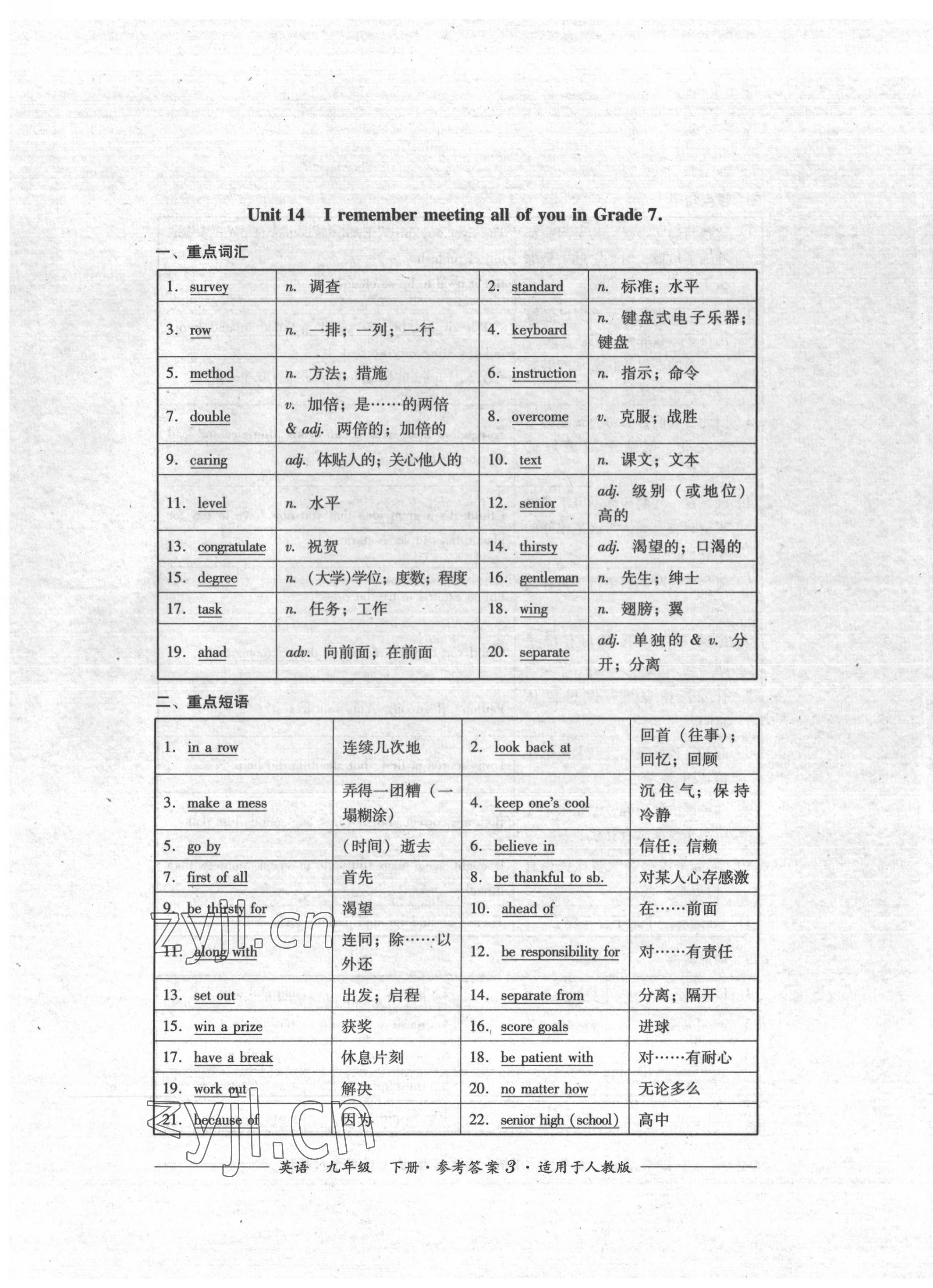 2022年精練過關四川教育出版社九年級英語下冊人教版 第3頁