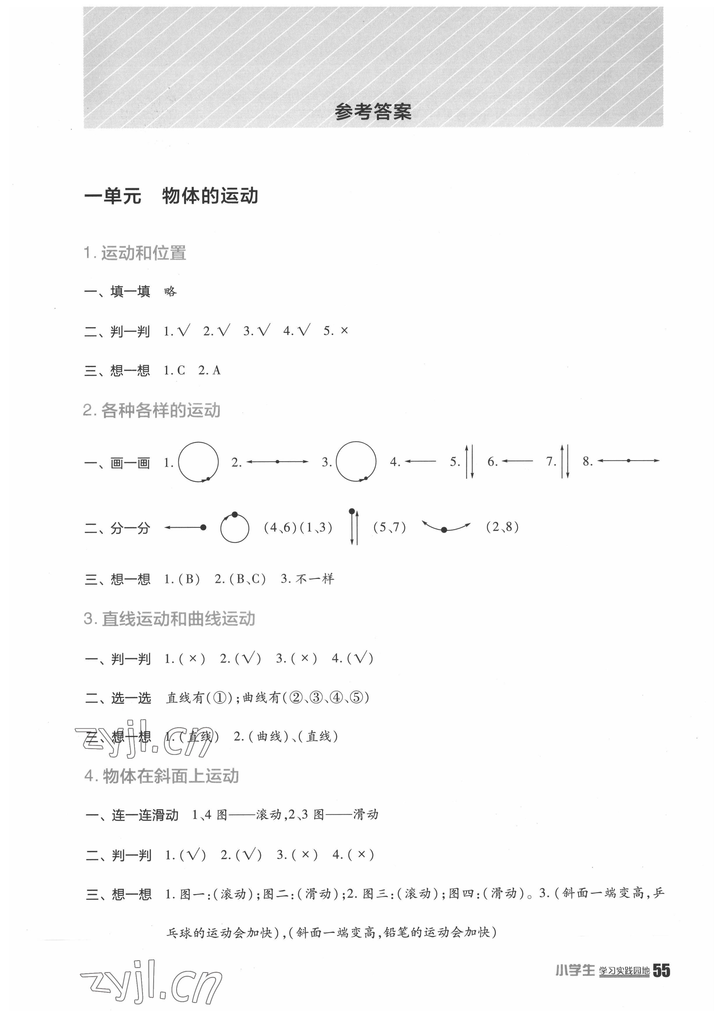 2022年學(xué)習(xí)實(shí)踐園地三年級科學(xué)下冊教科版 第1頁