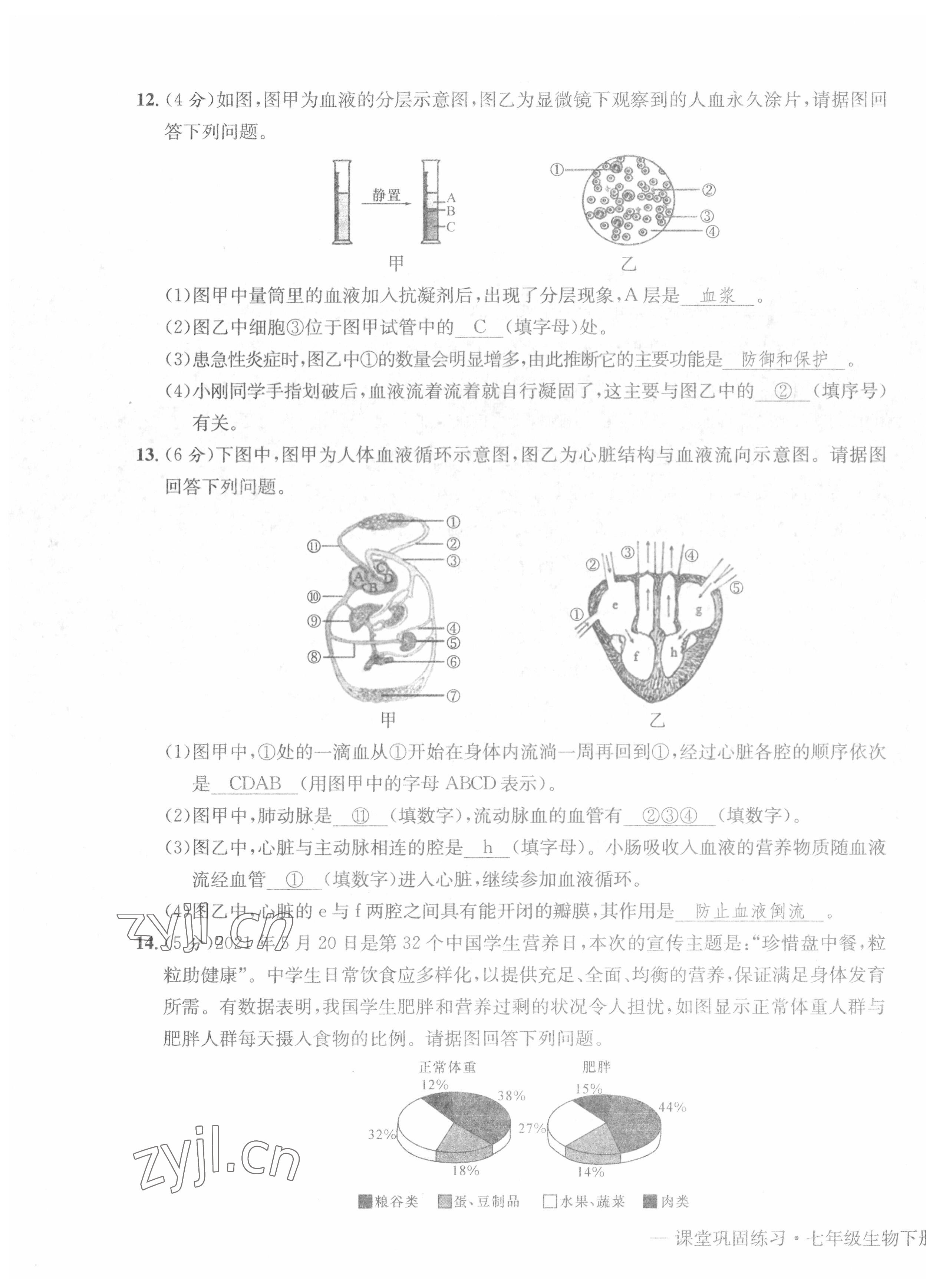 2022年课堂巩固练习七年级综合下册人教版 第3页