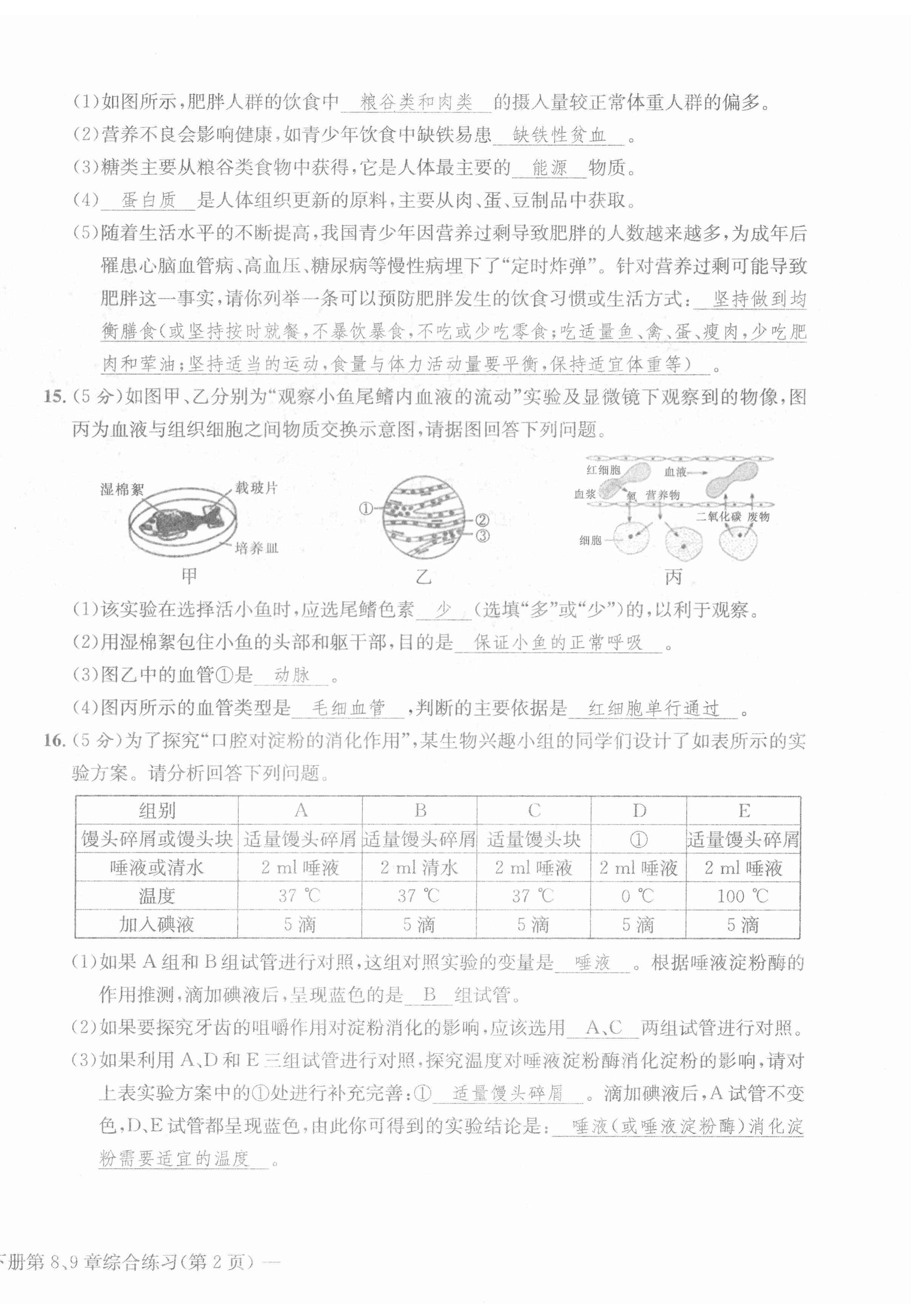 2022年課堂鞏固練習(xí)七年級綜合下冊人教版 第4頁