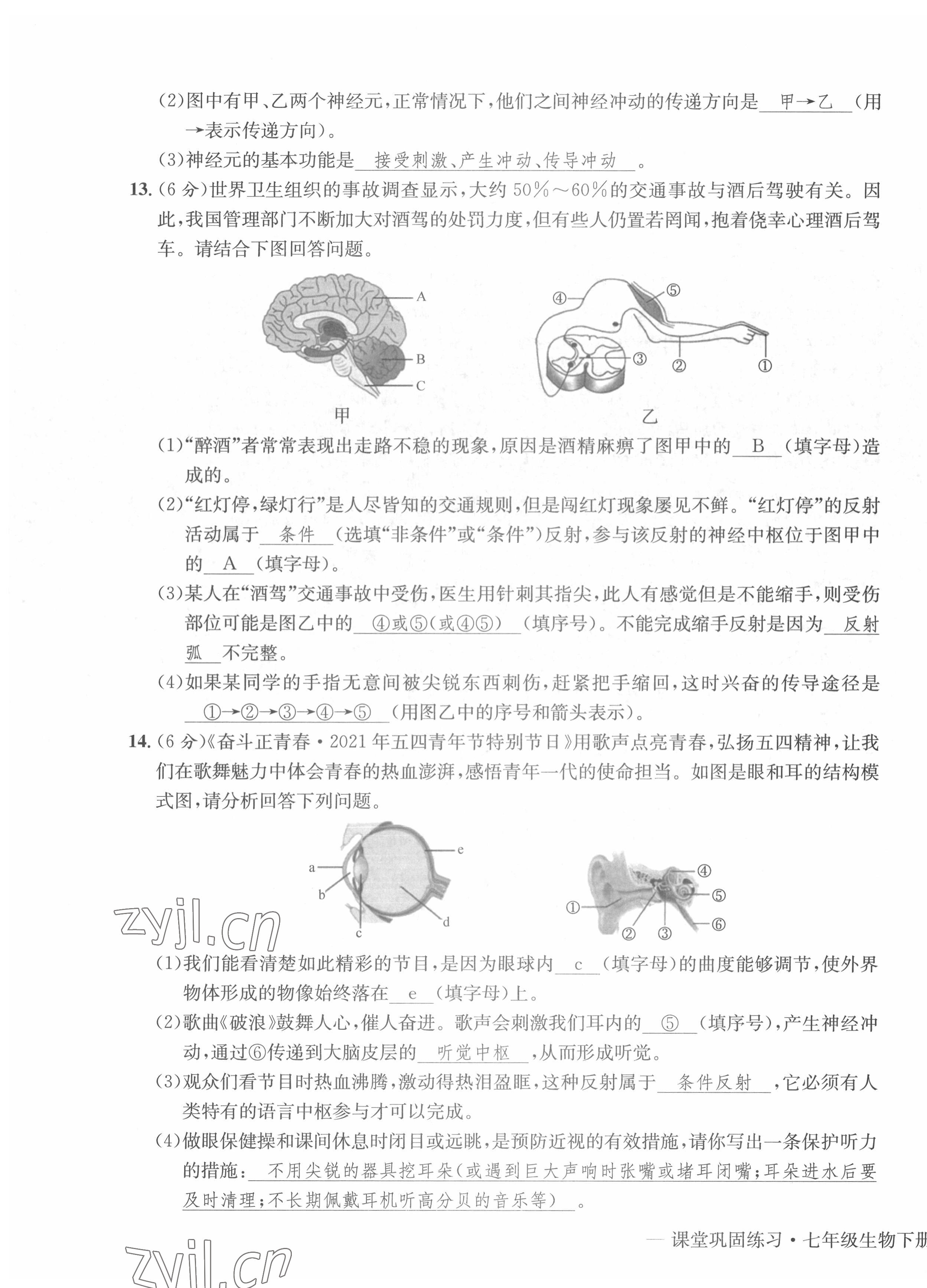 2022年课堂巩固练习七年级综合下册人教版 第15页