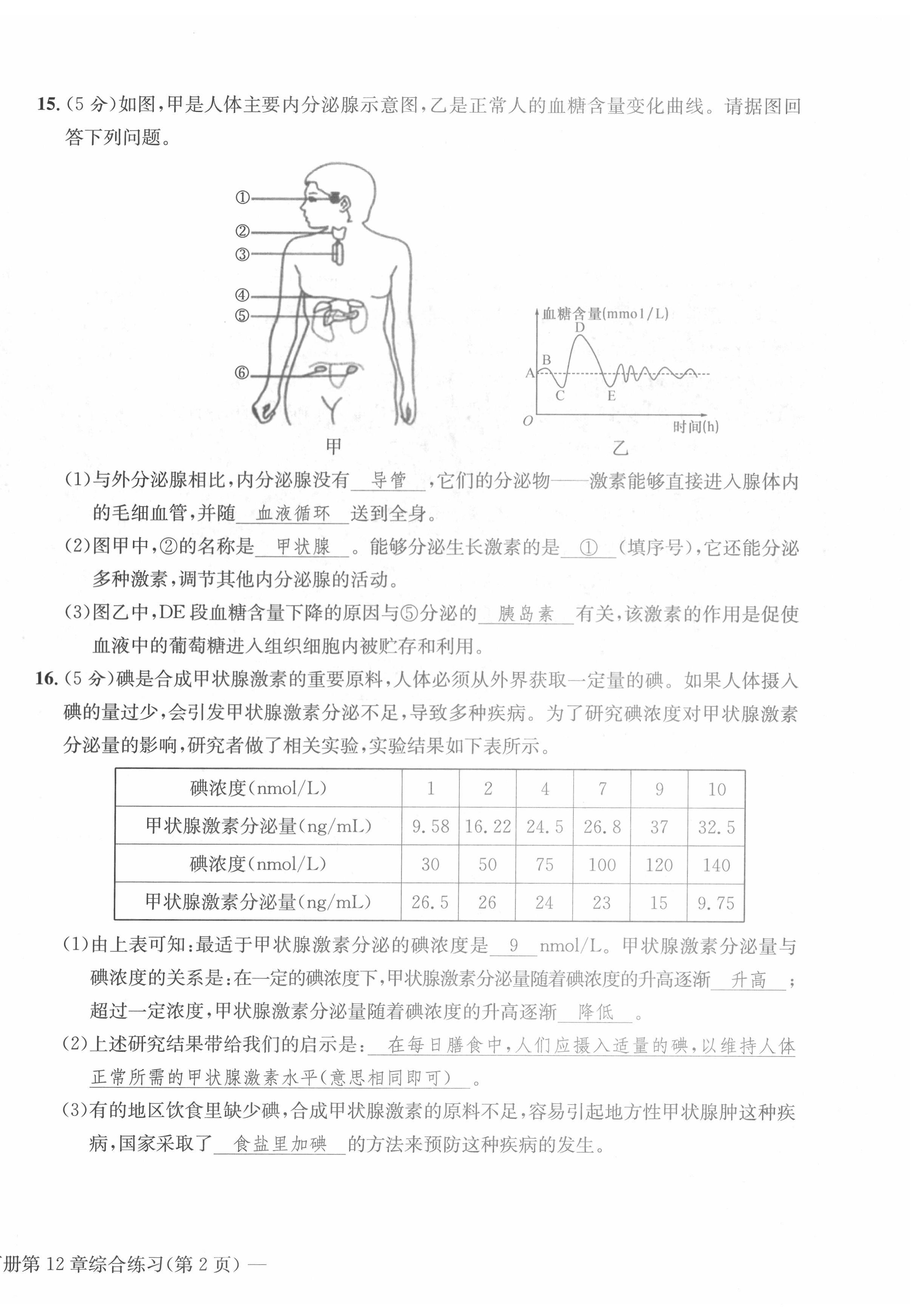 2022年课堂巩固练习七年级综合下册人教版 第16页