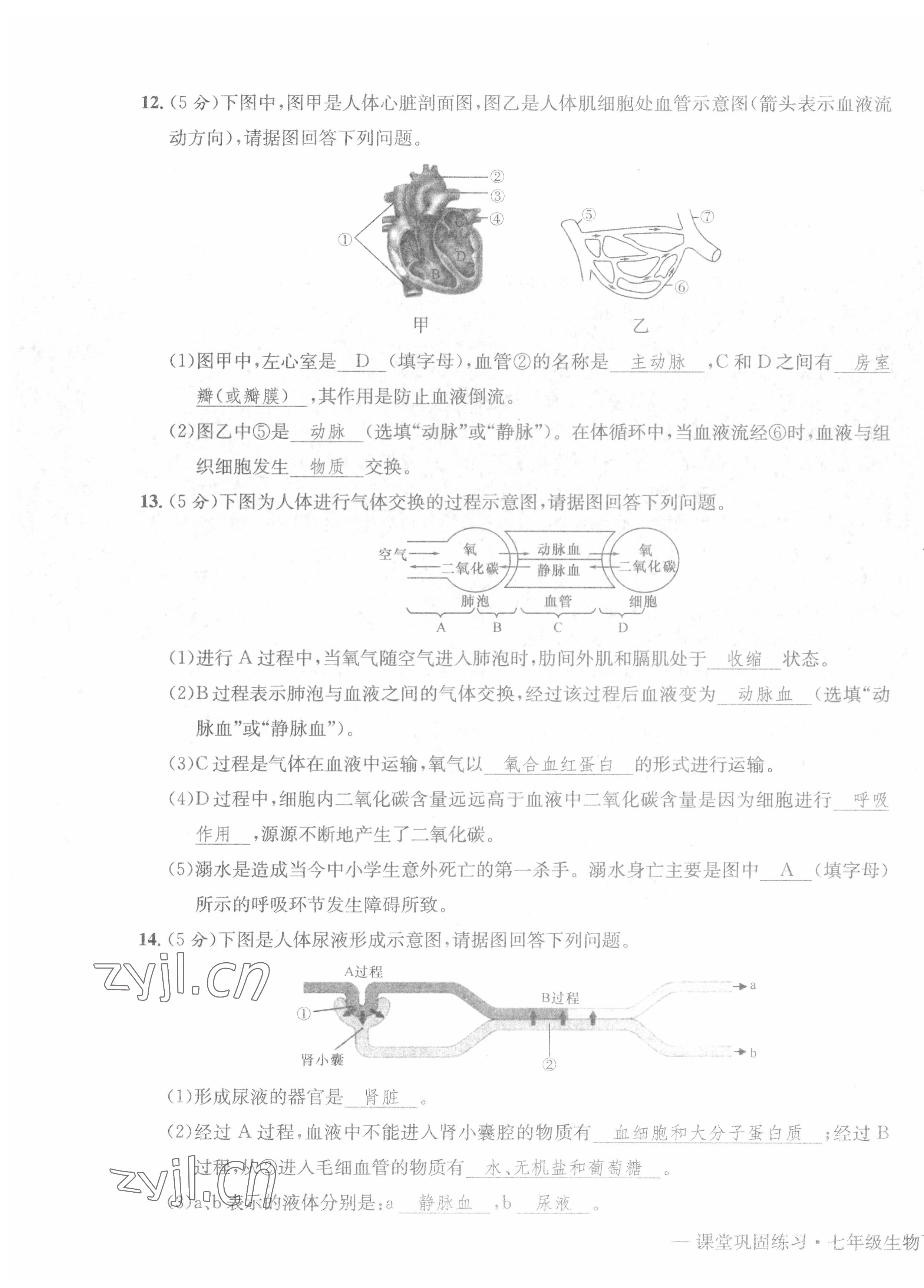 2022年課堂鞏固練習(xí)七年級綜合下冊人教版 第11頁