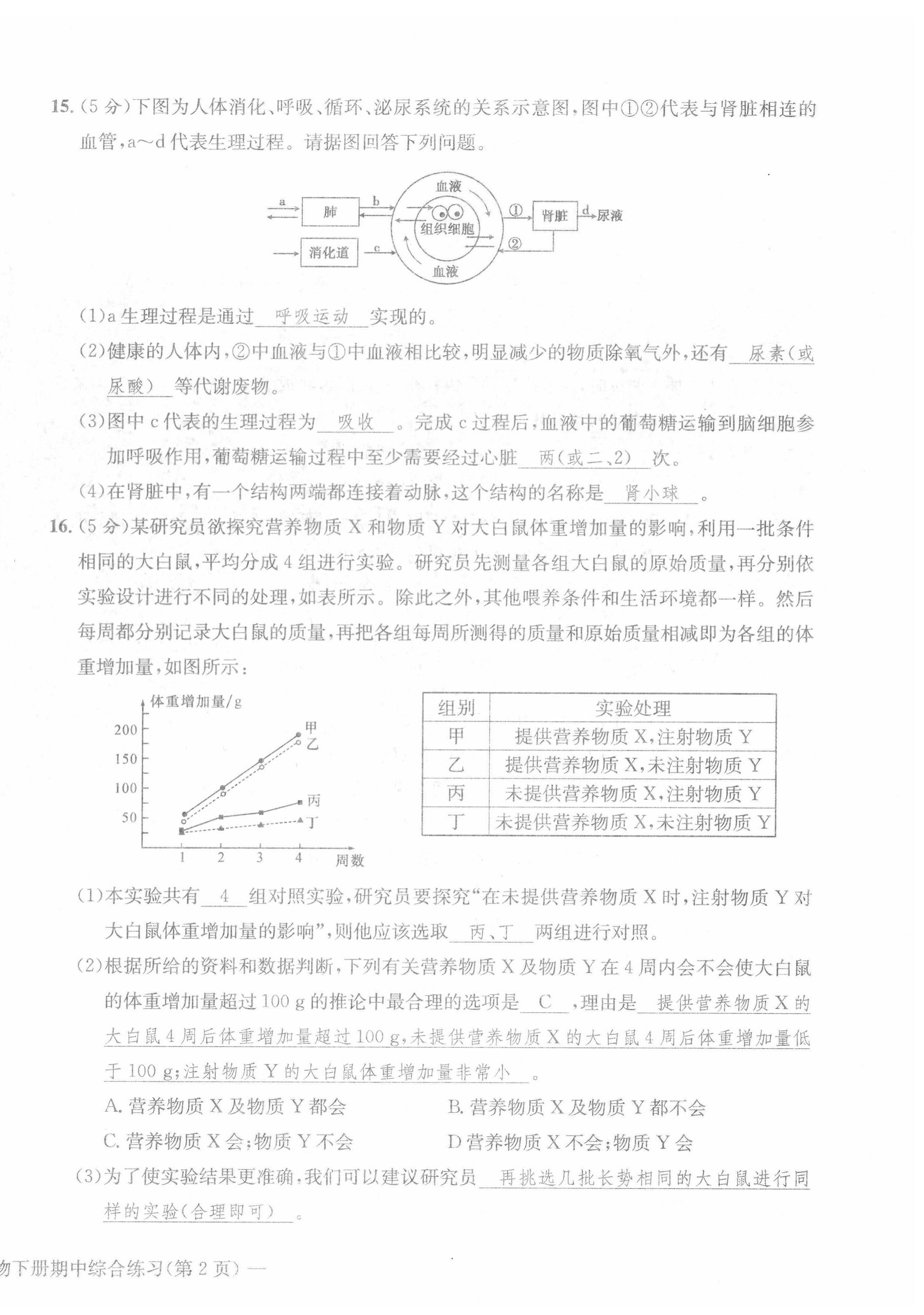 2022年课堂巩固练习七年级综合下册人教版 第12页