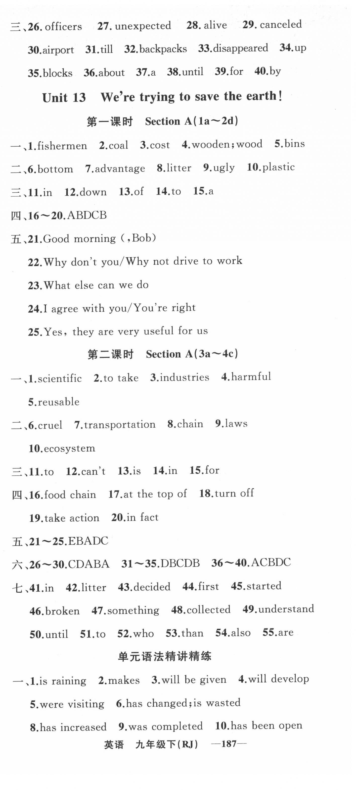 2022年四清導航九年級英語下冊人教版河南專版 第9頁