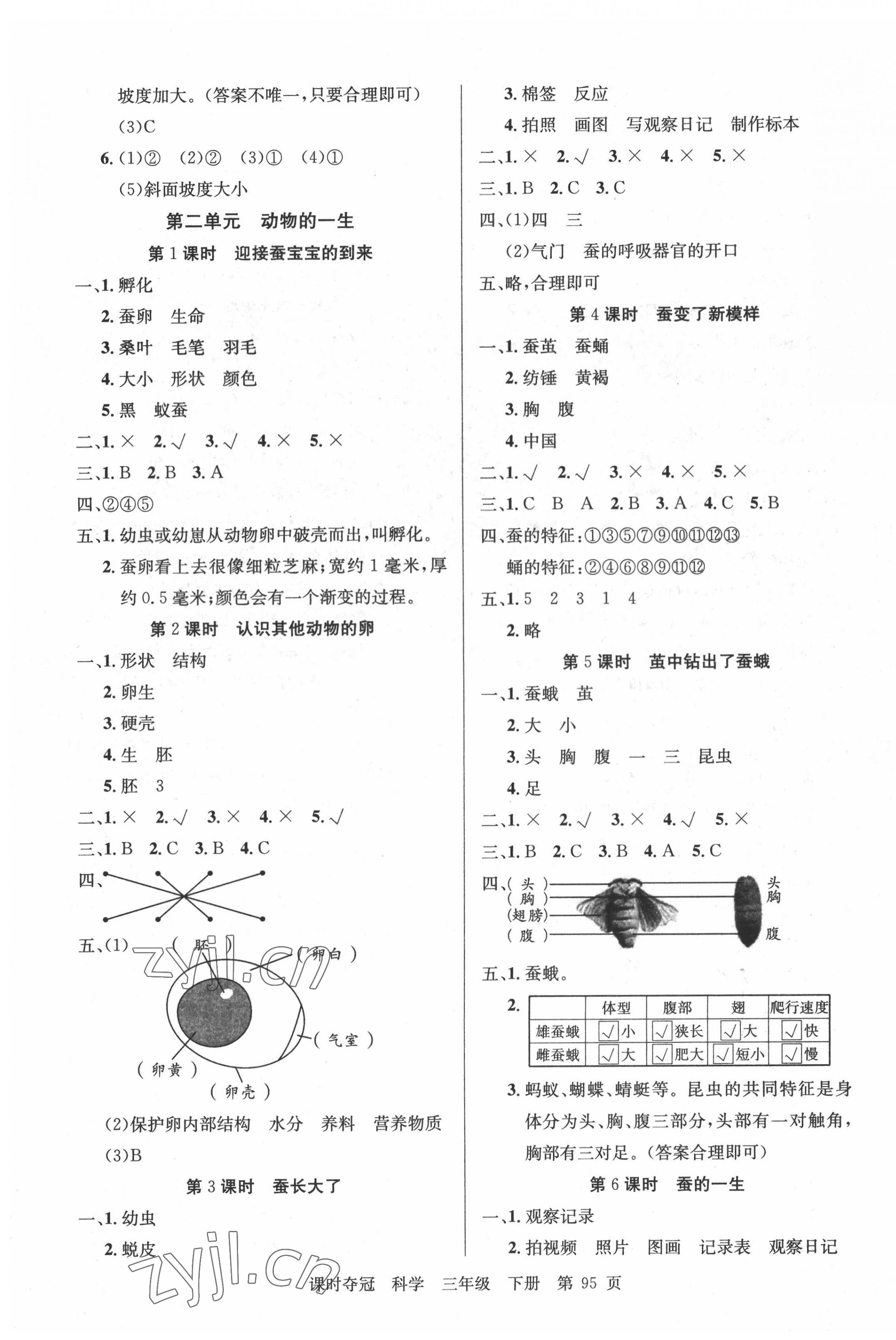 2022年课时夺冠三年级科学下册教科版 第3页