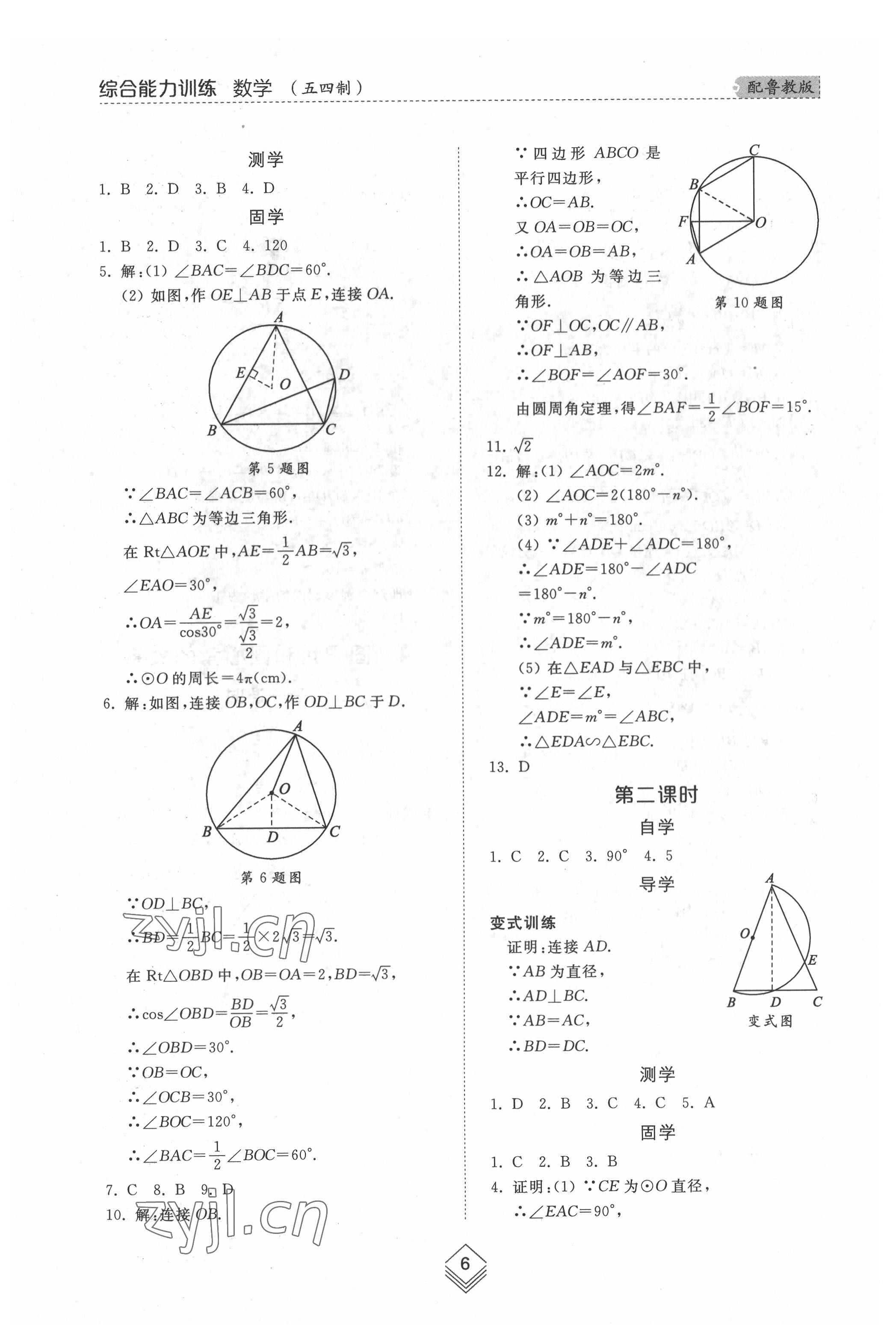 2022年综合能力训练九年级数学全一册鲁教版54制 参考答案第5页