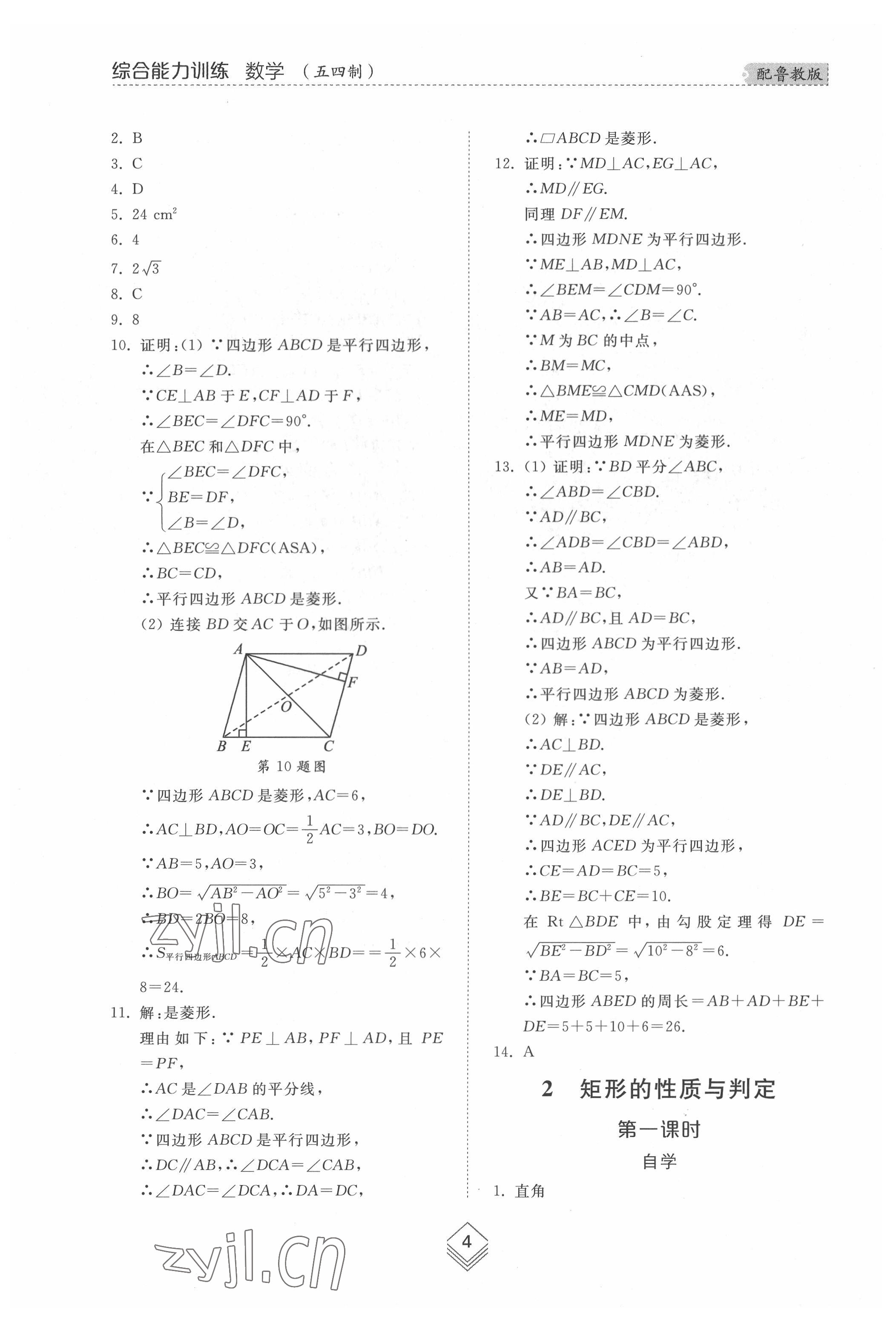 2022年綜合能力訓(xùn)練八年級(jí)數(shù)學(xué)下冊(cè)魯教版54制 參考答案第3頁(yè)