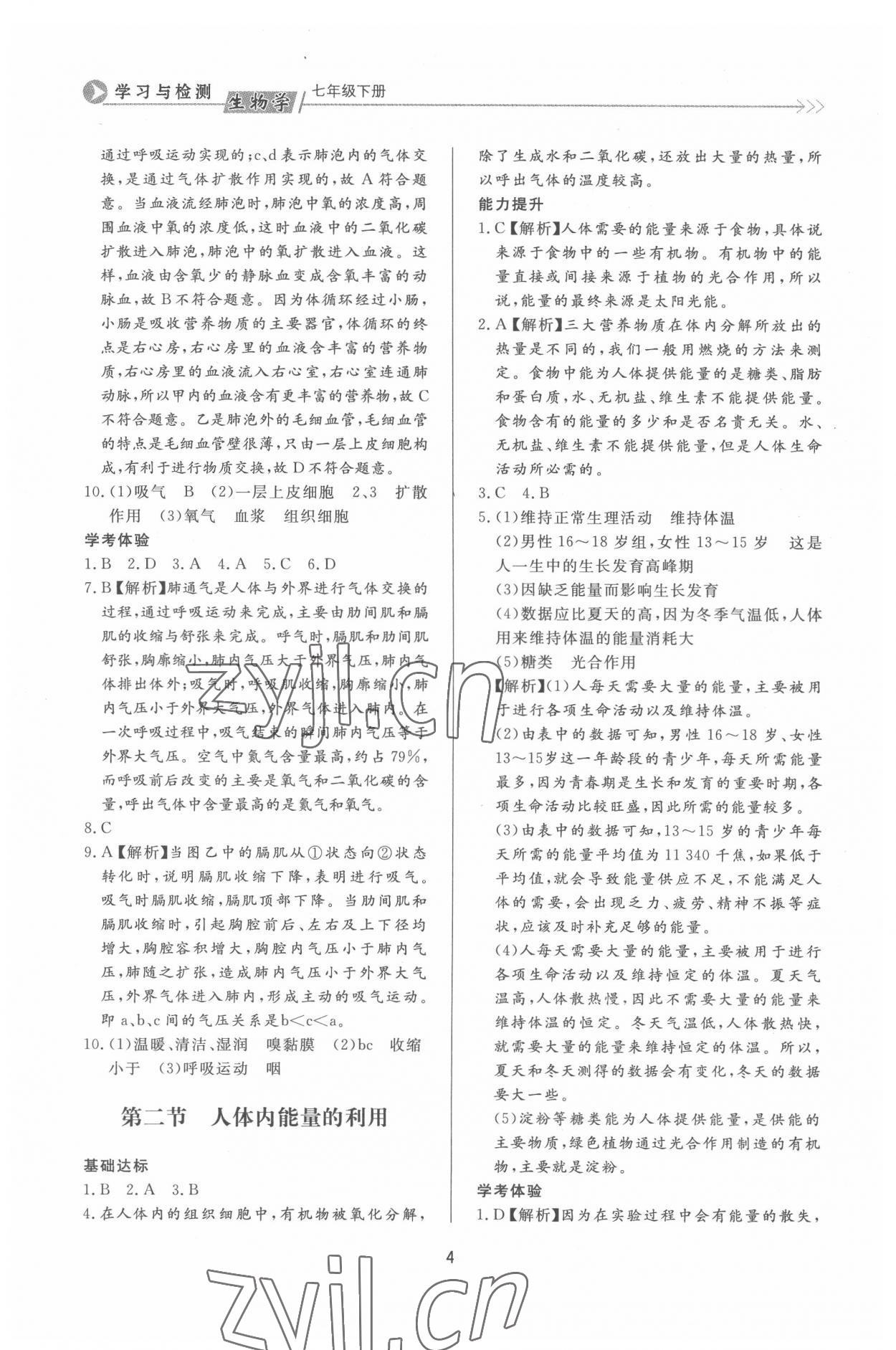 2022年学习与检测七年级生物下册济南版济南出版社 第4页