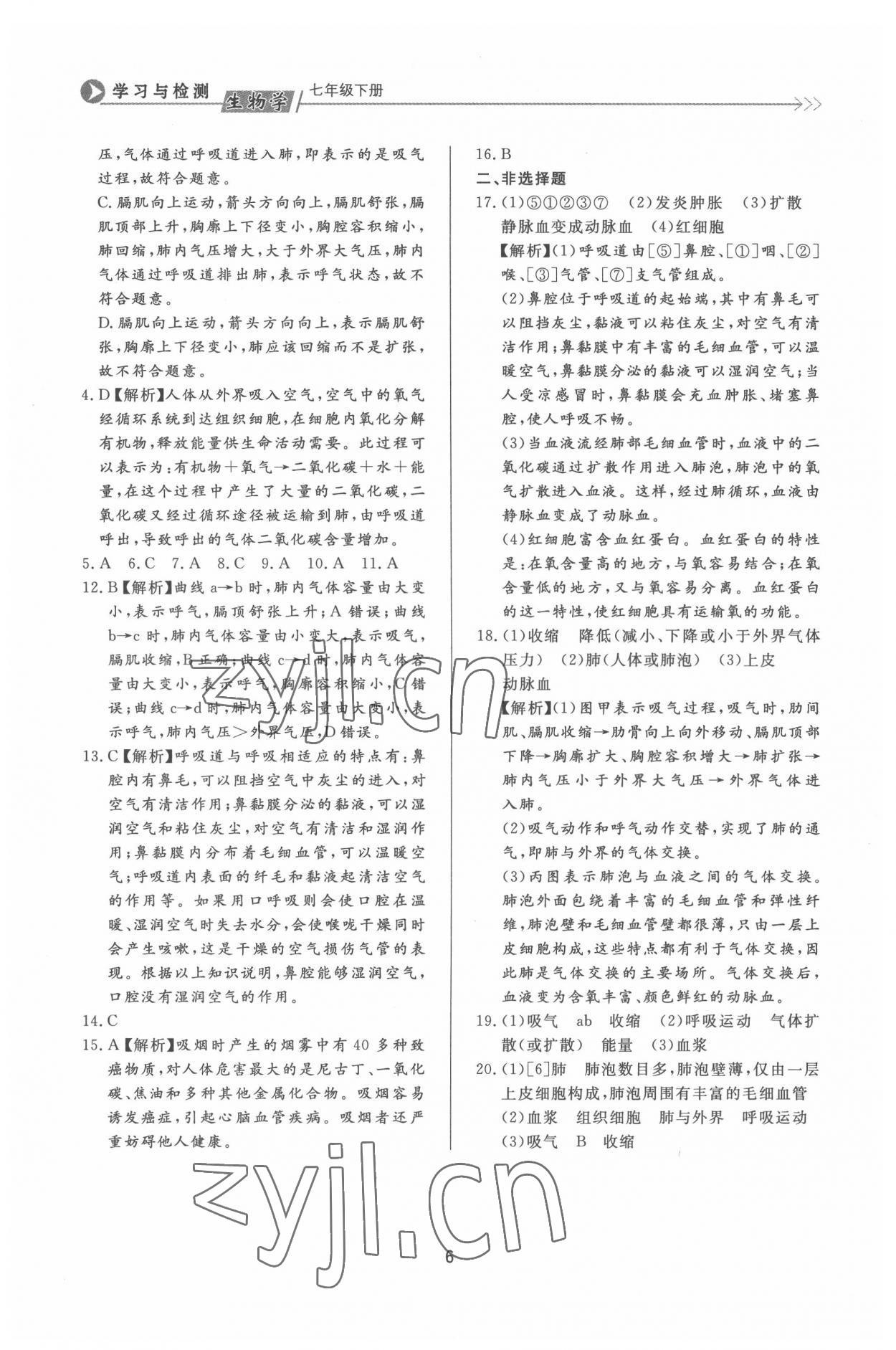 2022年学习与检测七年级生物下册济南版济南出版社 第6页