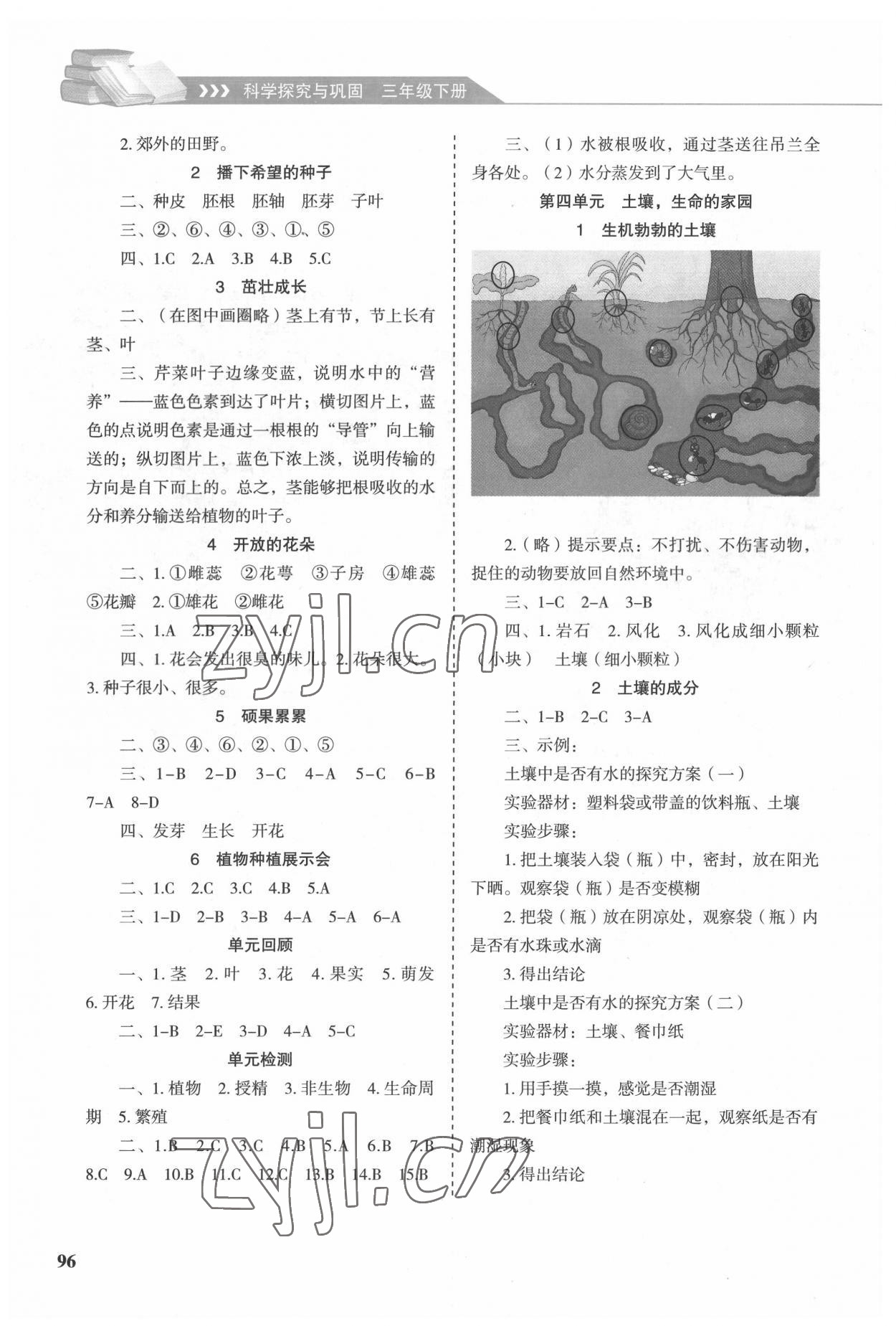 2022年科學(xué)探究與鞏固三年級(jí)下冊(cè)大象版 參考答案第2頁(yè)