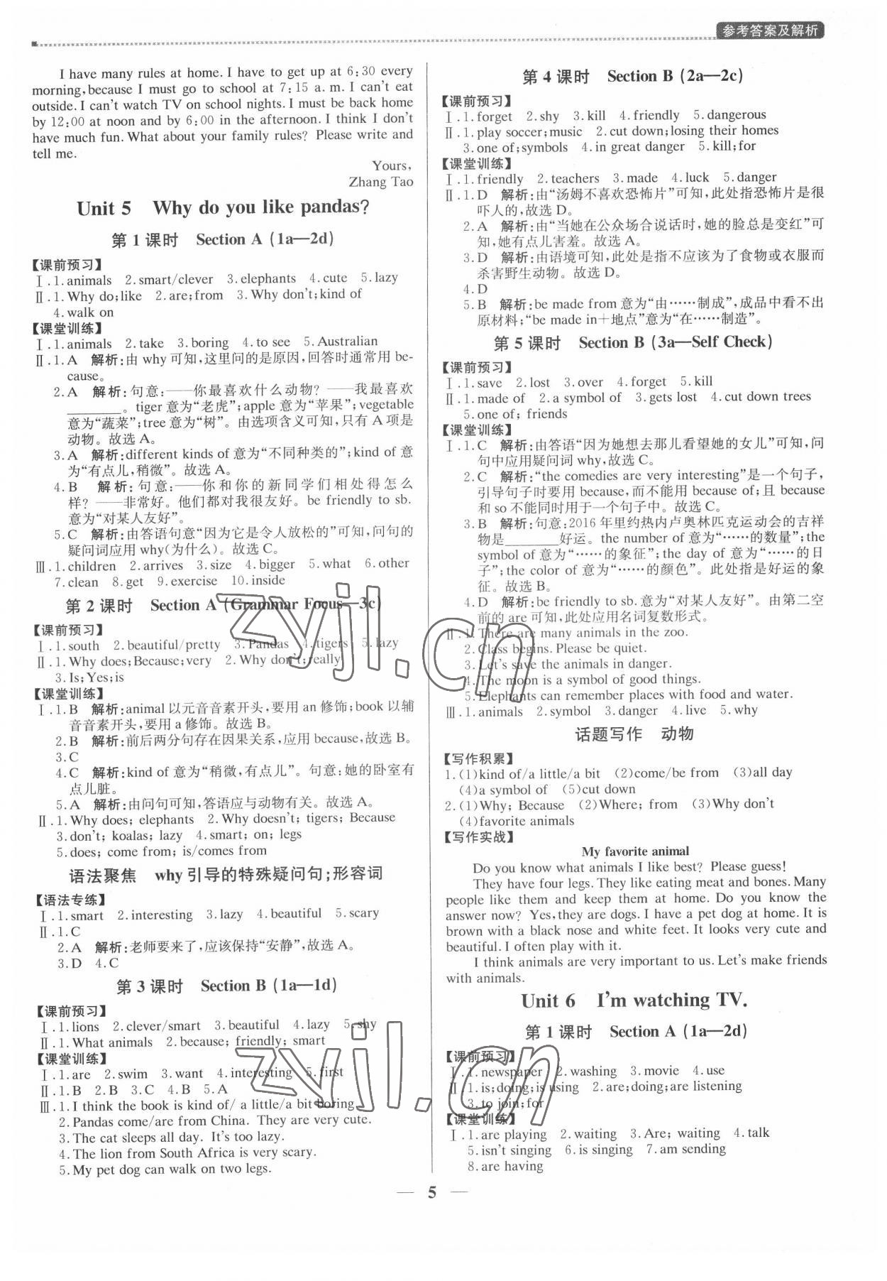 2022年提分教練七年級英語下冊人教版東莞專版 第5頁