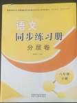 2022年同步练习册分层卷六年级语文下册人教版陕西专版