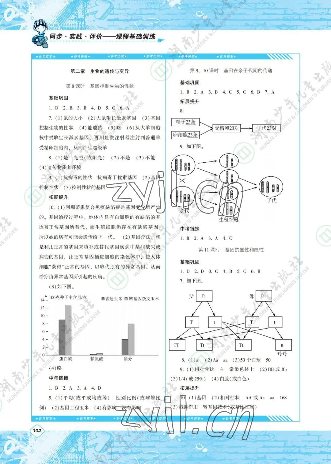 2022年同步實(shí)踐評(píng)價(jià)課程基礎(chǔ)訓(xùn)練八年級(jí)生物下冊(cè)人教版 參考答案第2頁(yè)