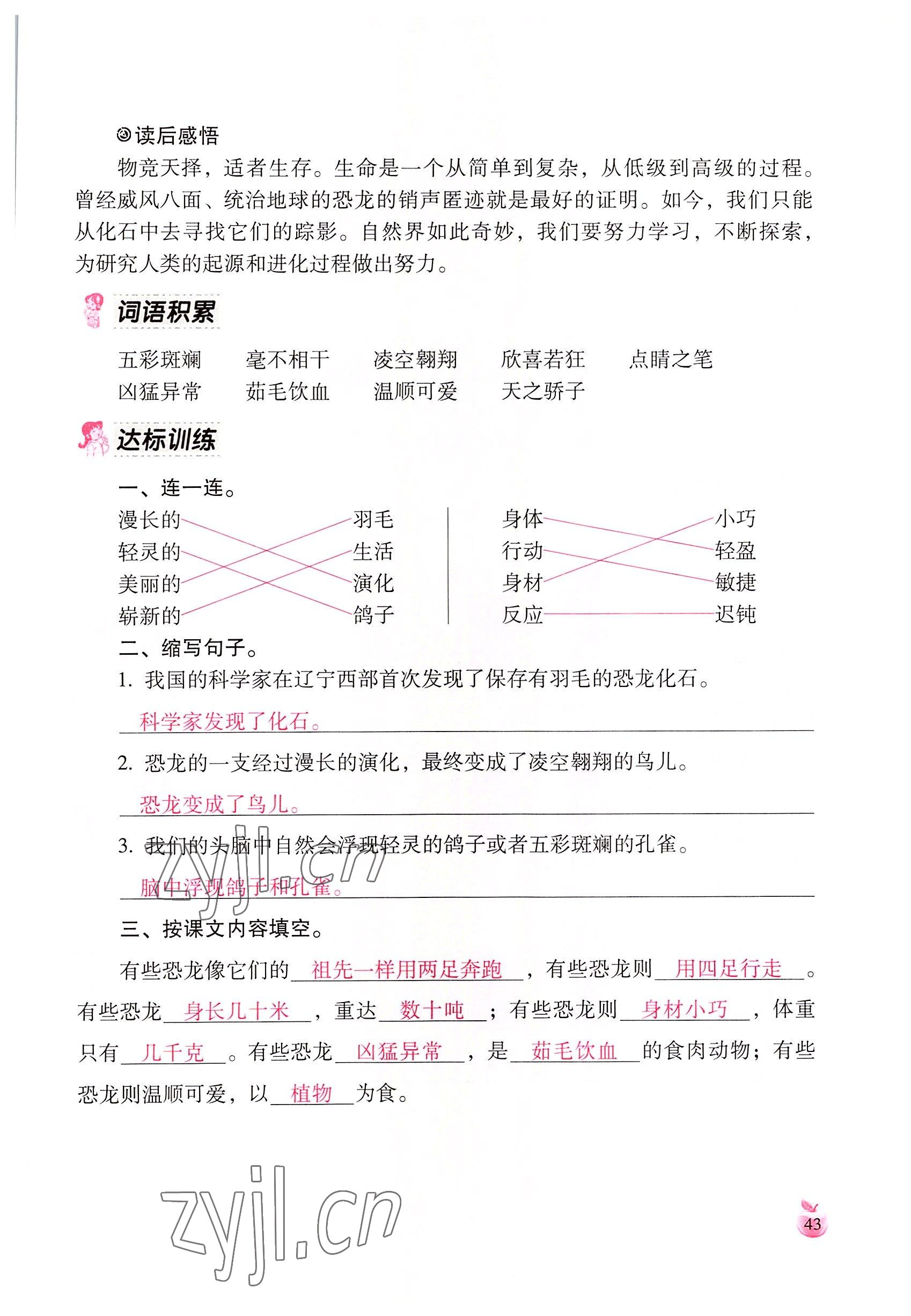 2022年小学生词语手册云南教育出版社四年级语文下册人教版 参考答案第43页