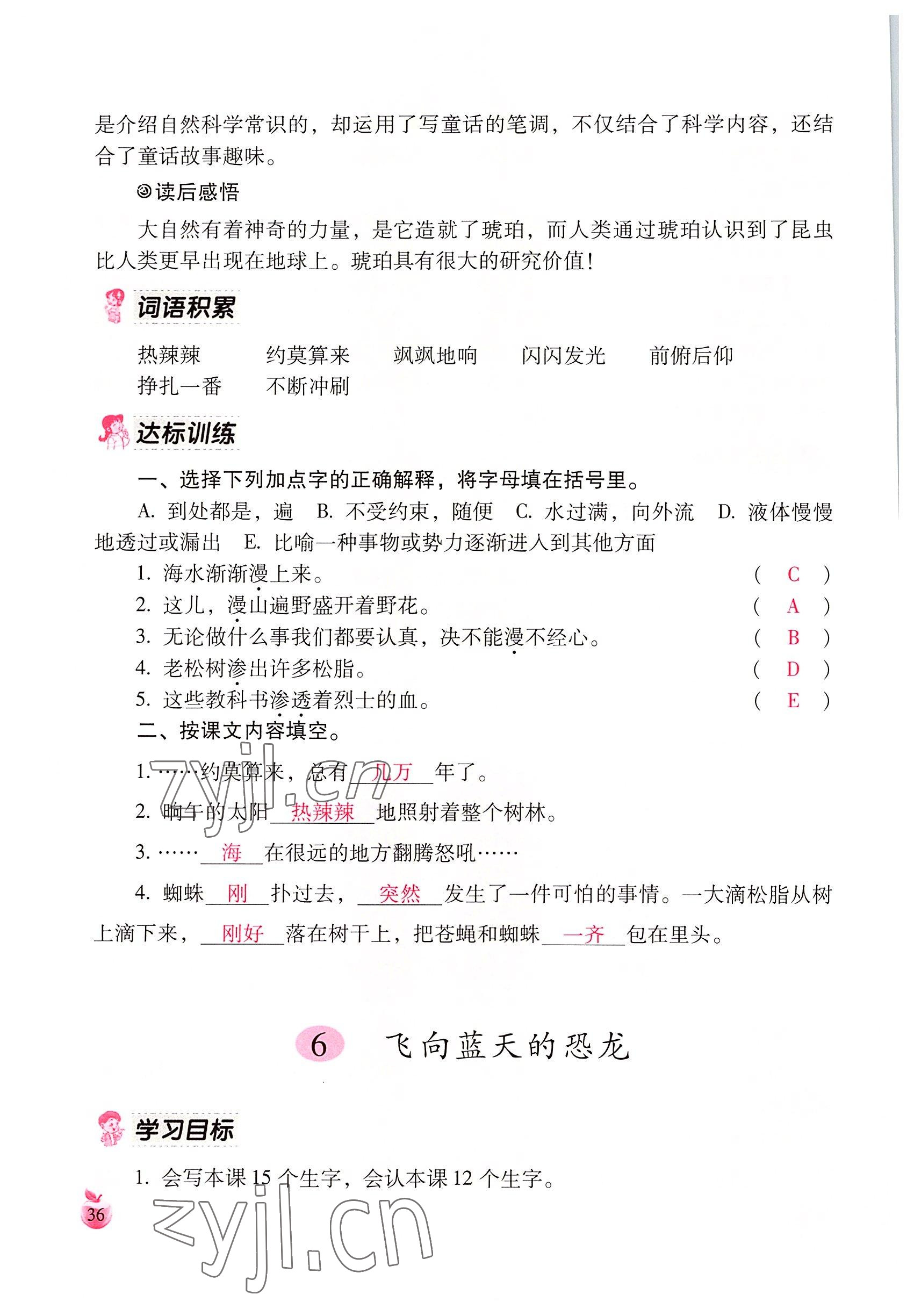 2022年小学生词语手册云南教育出版社四年级语文下册人教版 参考答案第36页