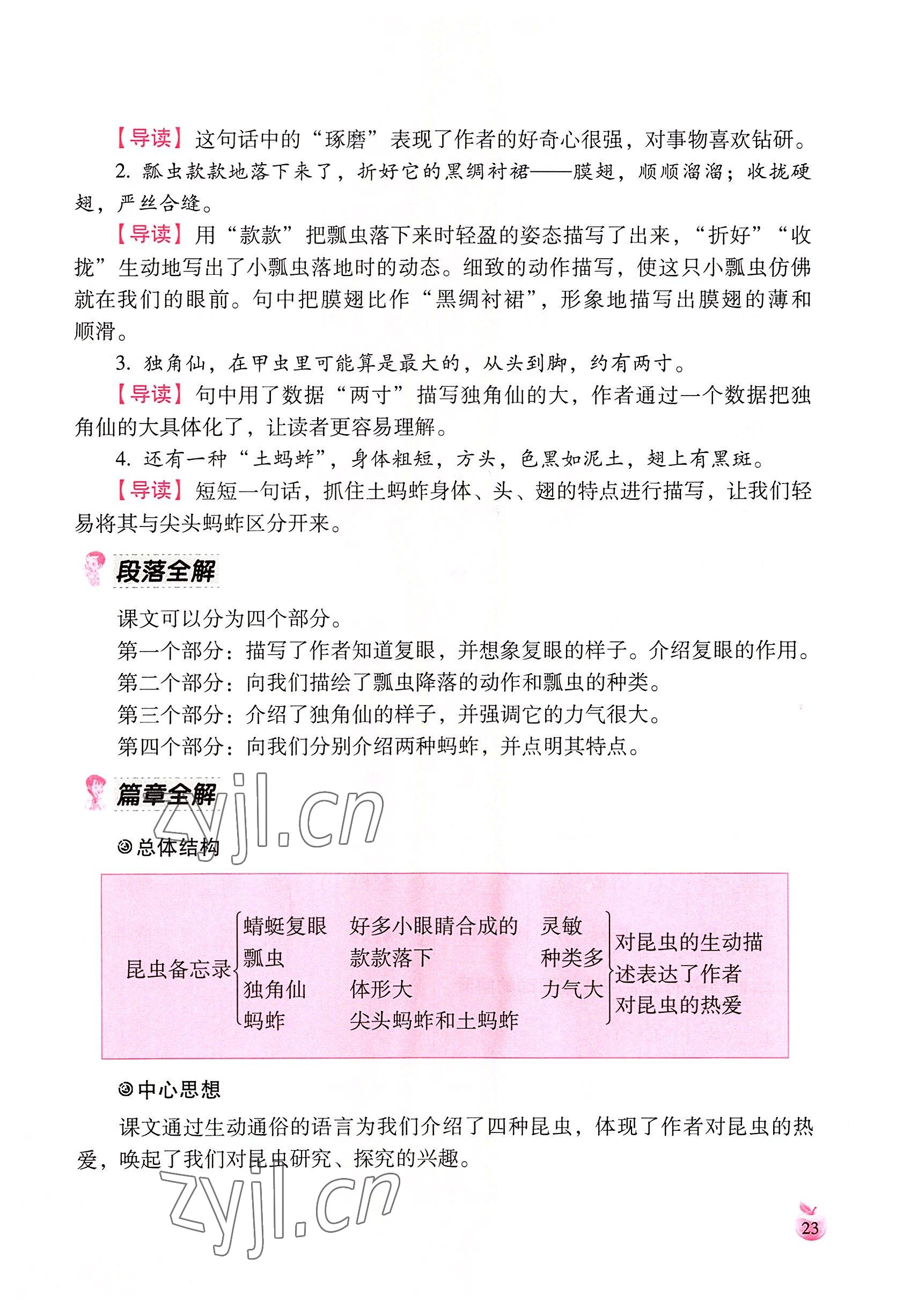 2022年小学生词语手册云南教育出版社三年级语文下册人教版 参考答案第23页