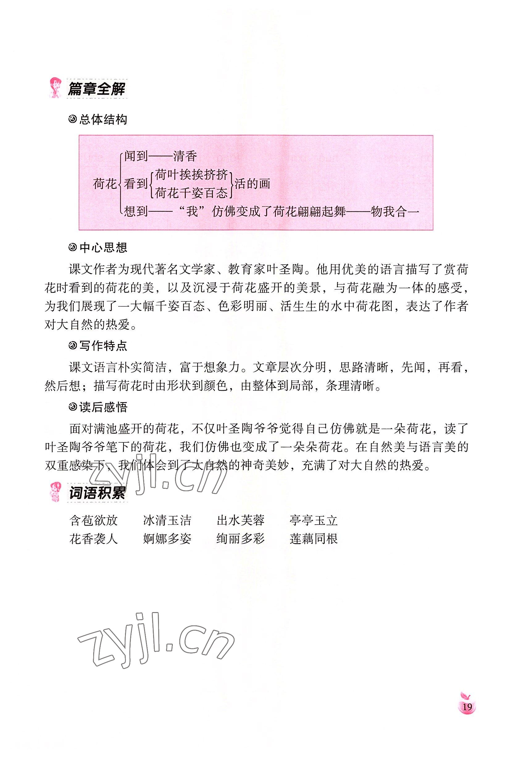 2022年小学生词语手册云南教育出版社三年级语文下册人教版 参考答案第19页