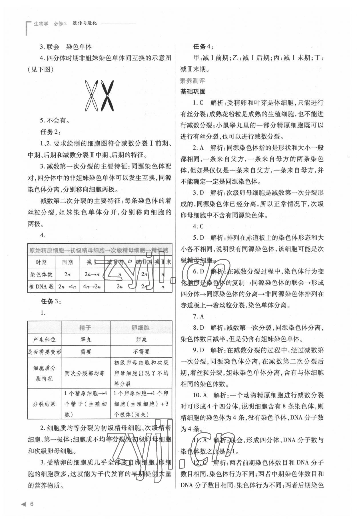 2022年普通高中新課程同步練習(xí)冊高中生物必修2人教版 參考答案第6頁