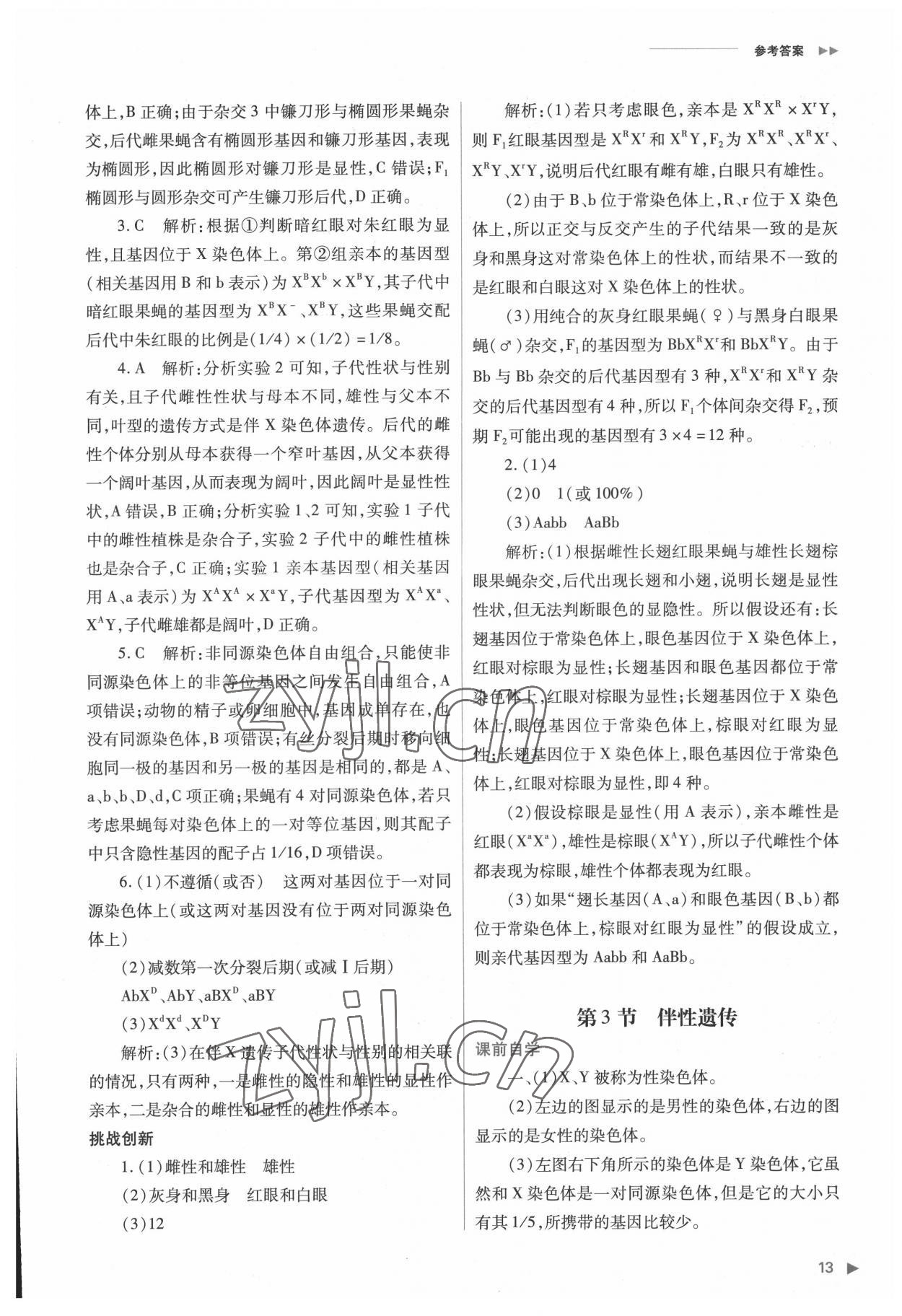 2022年普通高中新课程同步练习册高中生物必修2人教版 参考答案第13页