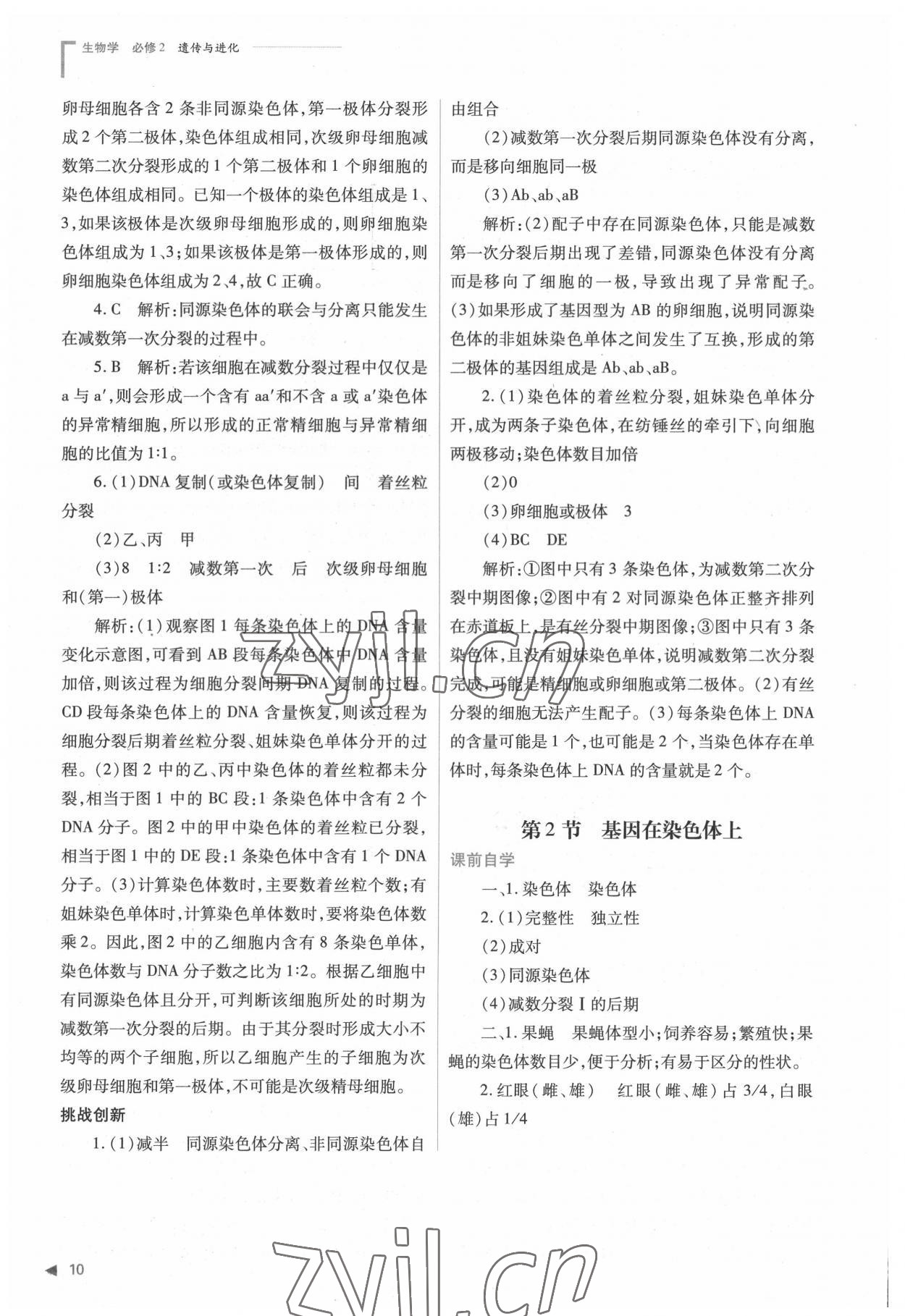 2022年普通高中新課程同步練習冊高中生物必修2人教版 參考答案第10頁