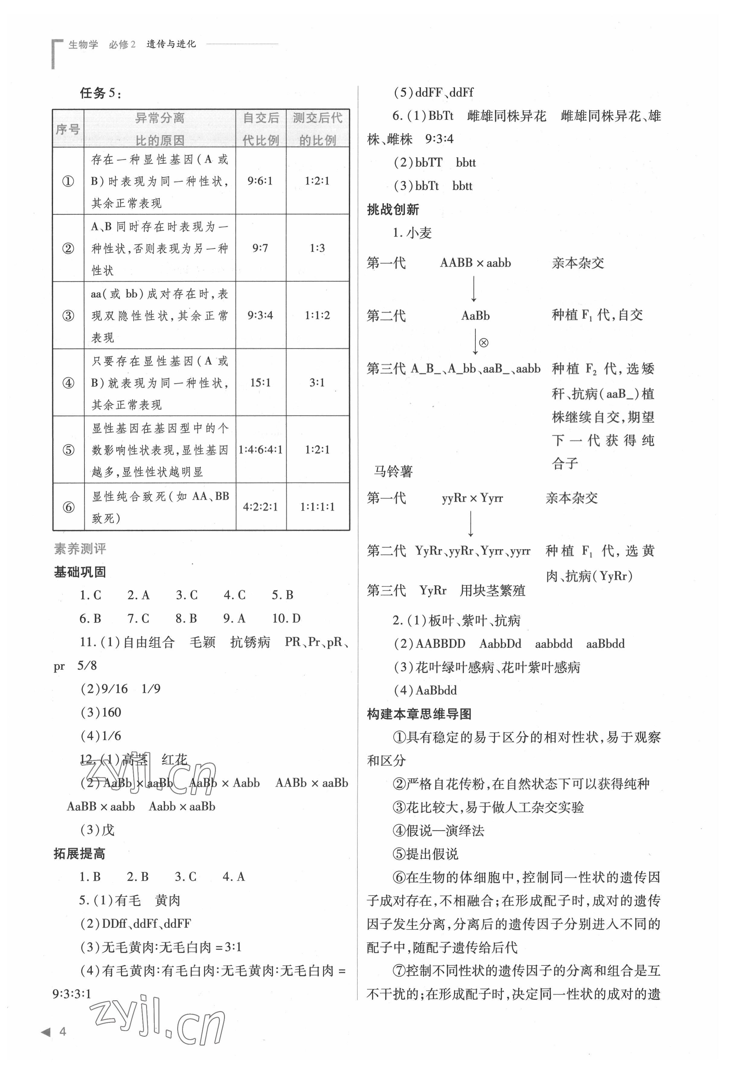 2022年普通高中新課程同步練習(xí)冊(cè)高中生物必修2人教版 參考答案第4頁(yè)