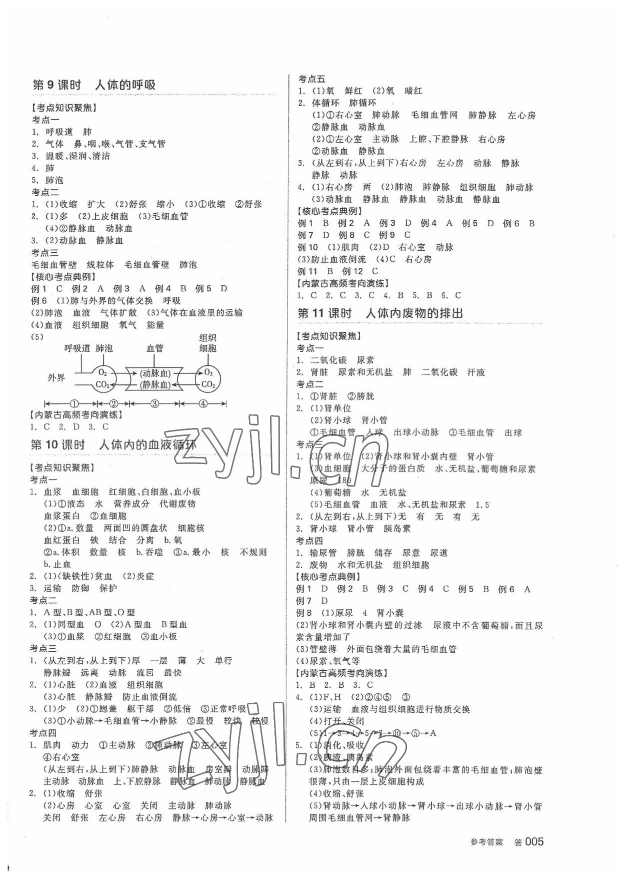 2022年全品中考復(fù)習(xí)方案生物內(nèi)蒙古專版 參考答案第4頁