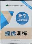 2022年新課堂同步學習與探究提優訓練六年級數學下冊青島版