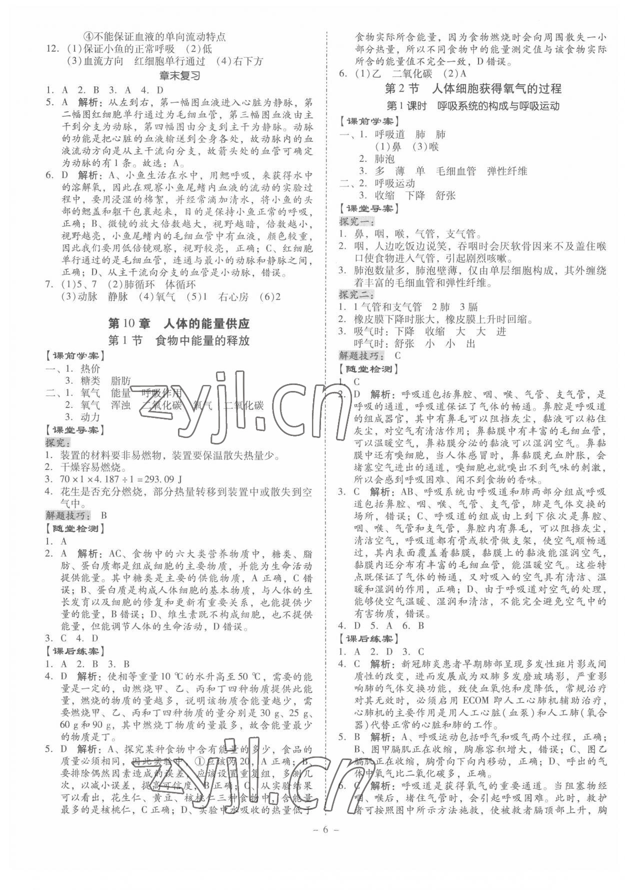 2022年金牌導(dǎo)學(xué)案七年級生物下冊人教版 第6頁