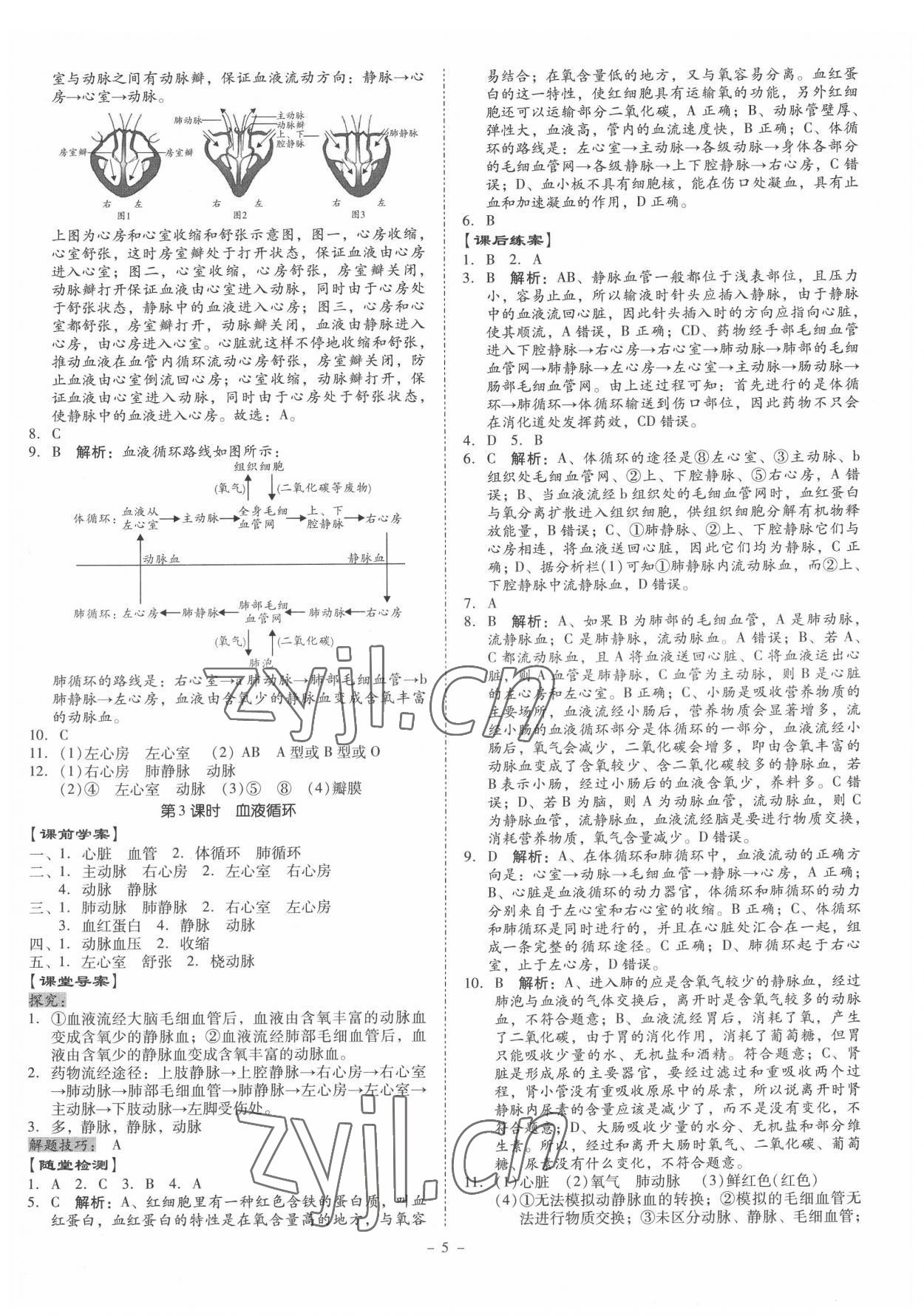 2022年金牌導學案七年級生物下冊人教版 第5頁