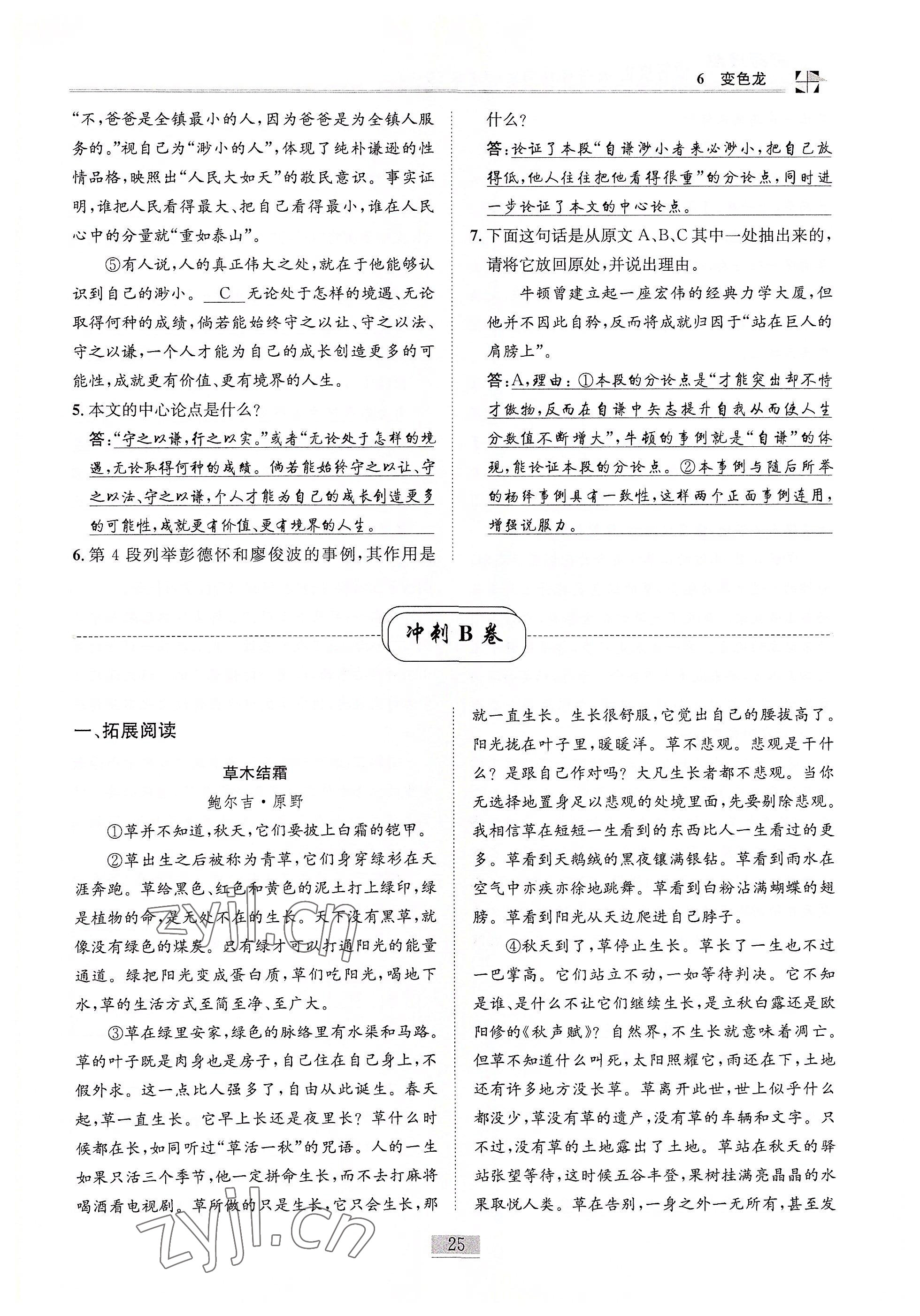 2022年名師課堂課時(shí)優(yōu)化精講精練九年級(jí)語(yǔ)文下冊(cè)人教版 參考答案第25頁(yè)