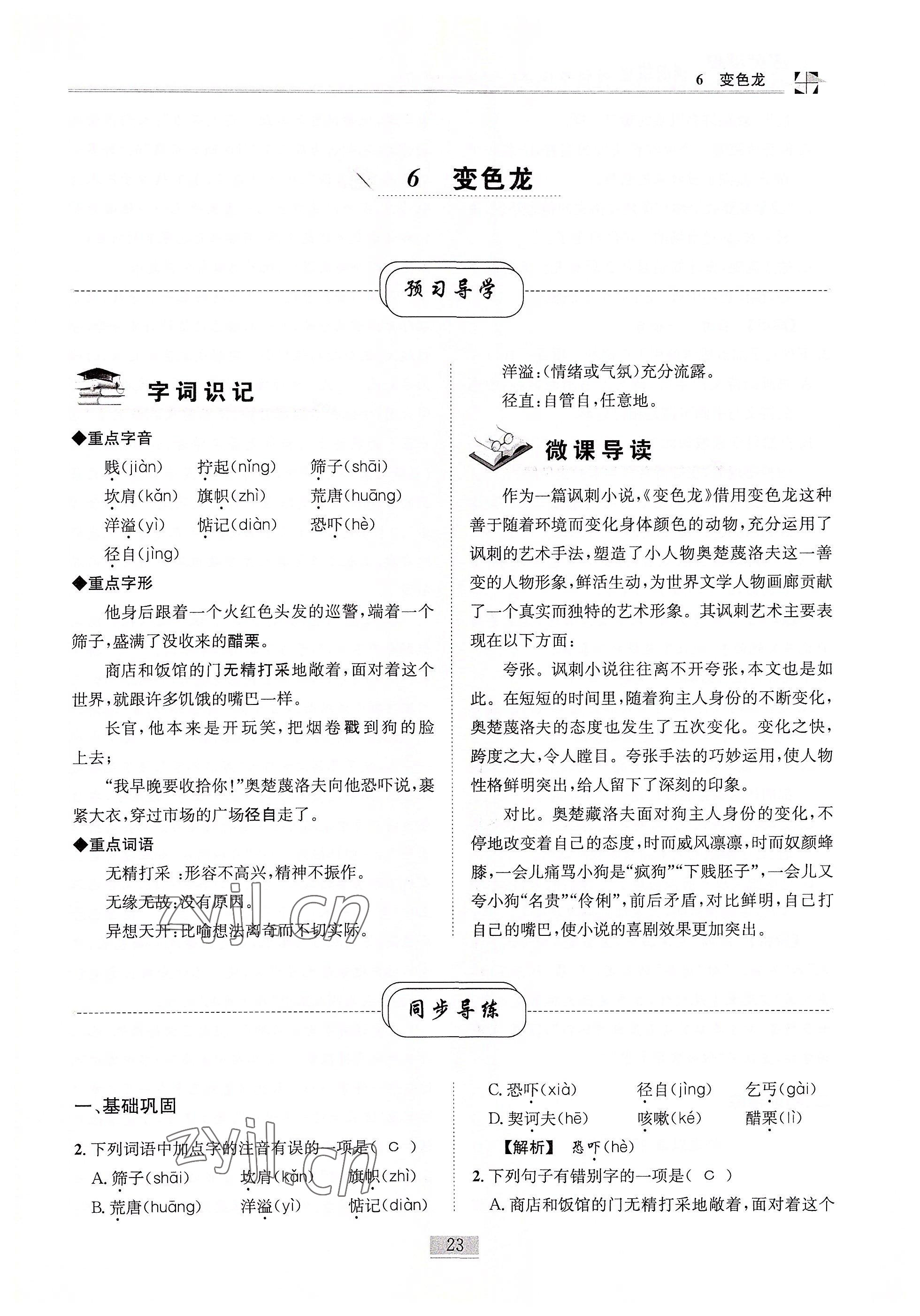 2022年名師課堂課時優化精講精練九年級語文下冊人教版 參考答案第23頁