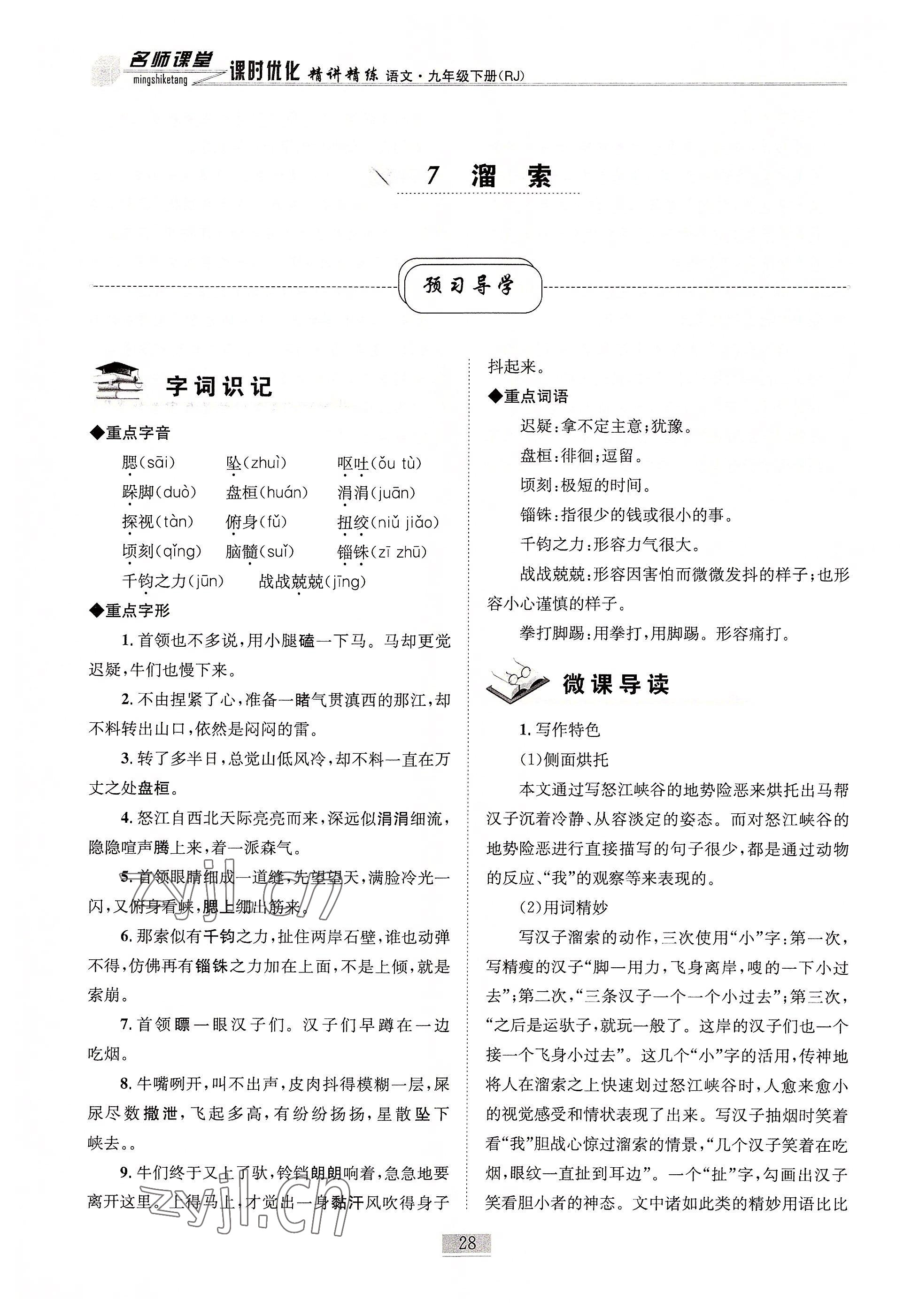 2022年名師課堂課時(shí)優(yōu)化精講精練九年級(jí)語(yǔ)文下冊(cè)人教版 參考答案第28頁(yè)