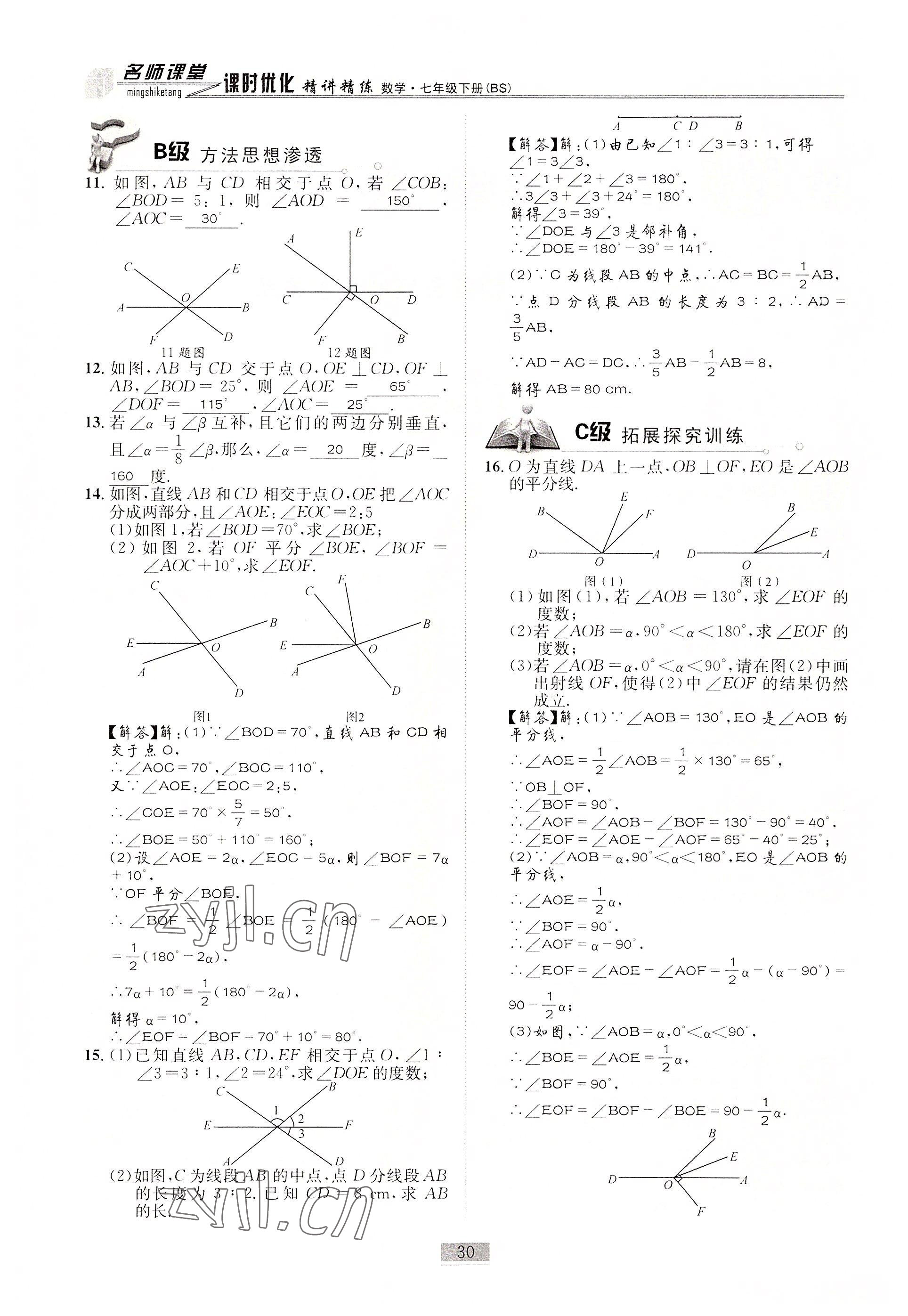 2022年名師課堂課時(shí)優(yōu)化精講精練七年級(jí)數(shù)學(xué)下冊(cè)北師大版 參考答案第30頁(yè)