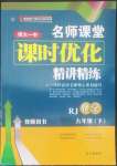 2022年名師課堂課時優化精講精練九年級化學下冊人教版