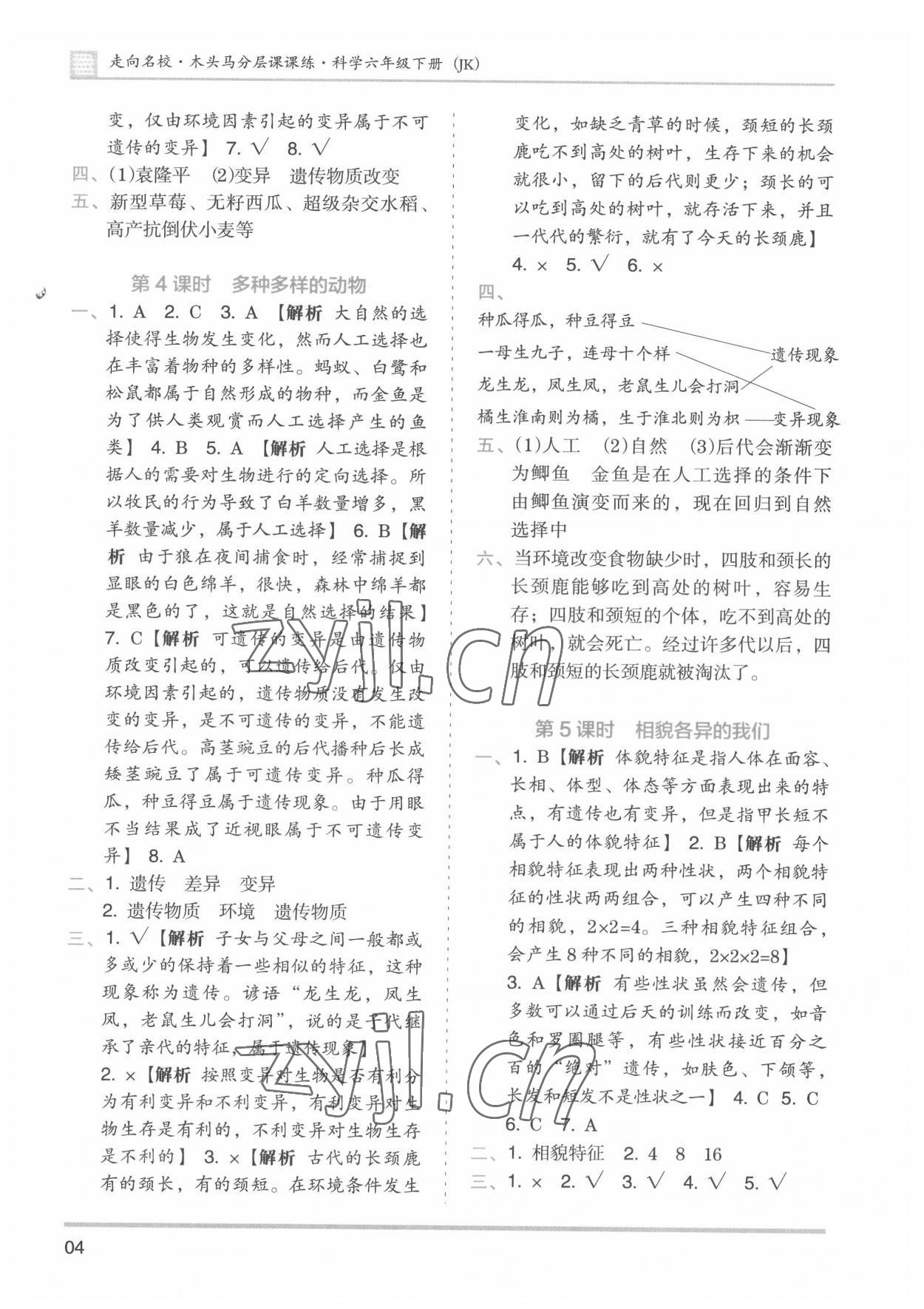 2022年木頭馬分層課課練六年級科學(xué)下冊教科版 第4頁