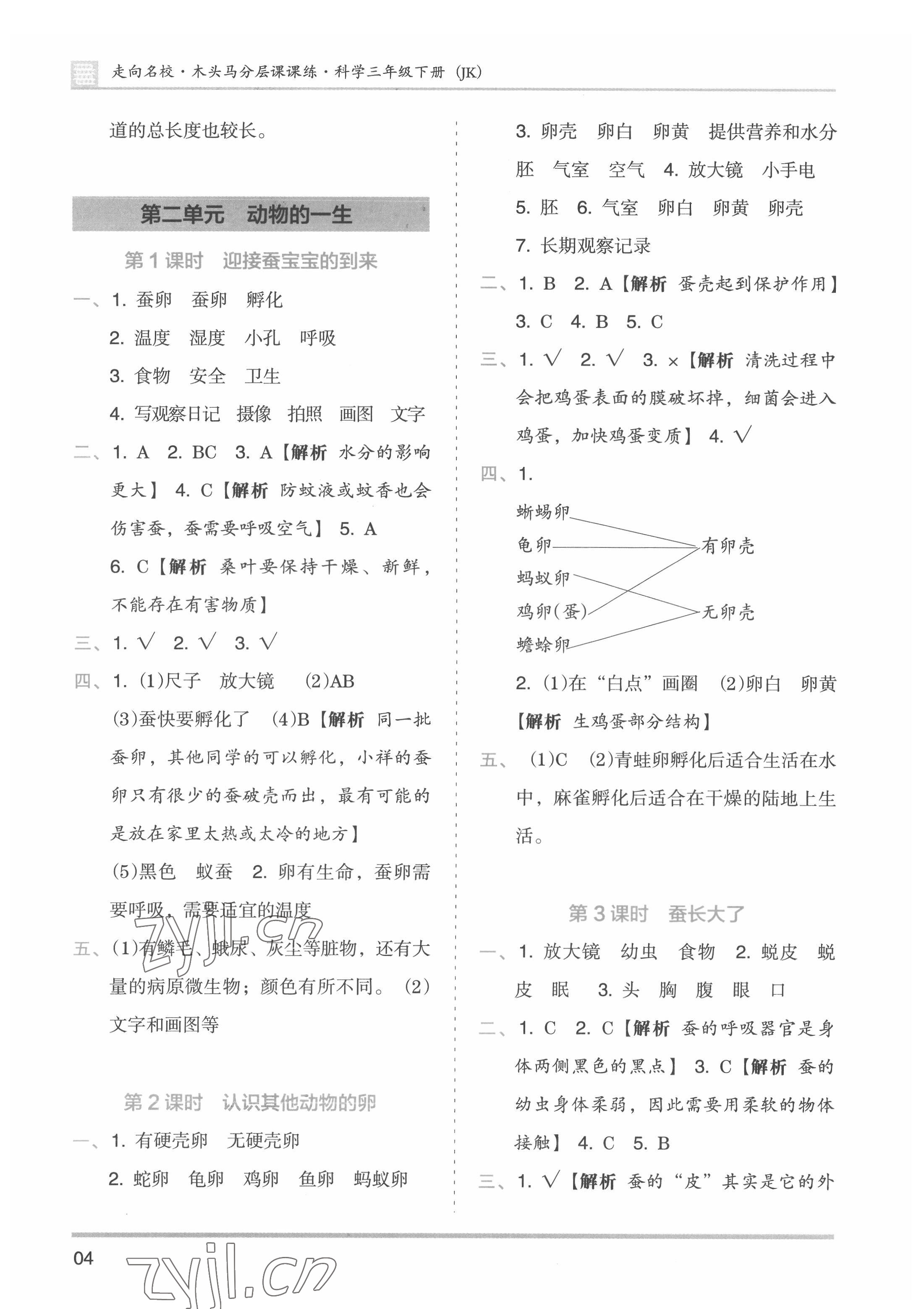 2022年木頭馬分層課課練三年級(jí)科學(xué)下冊教科版 第4頁