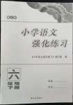 2022年強(qiáng)化練習(xí)六年級語文下冊人教版