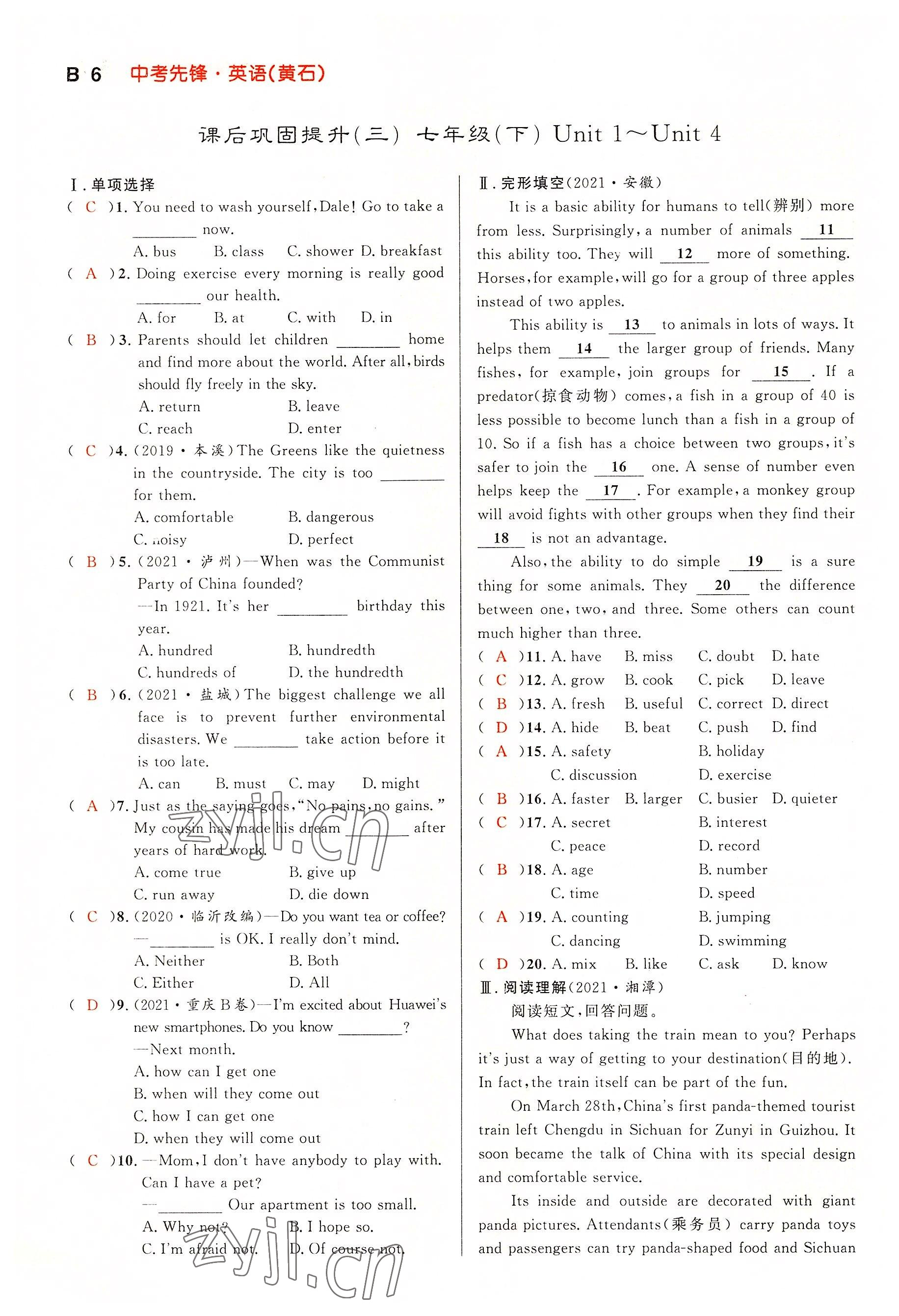 2022年中考先鋒吉林出版集團英語黃石專版 參考答案第5頁