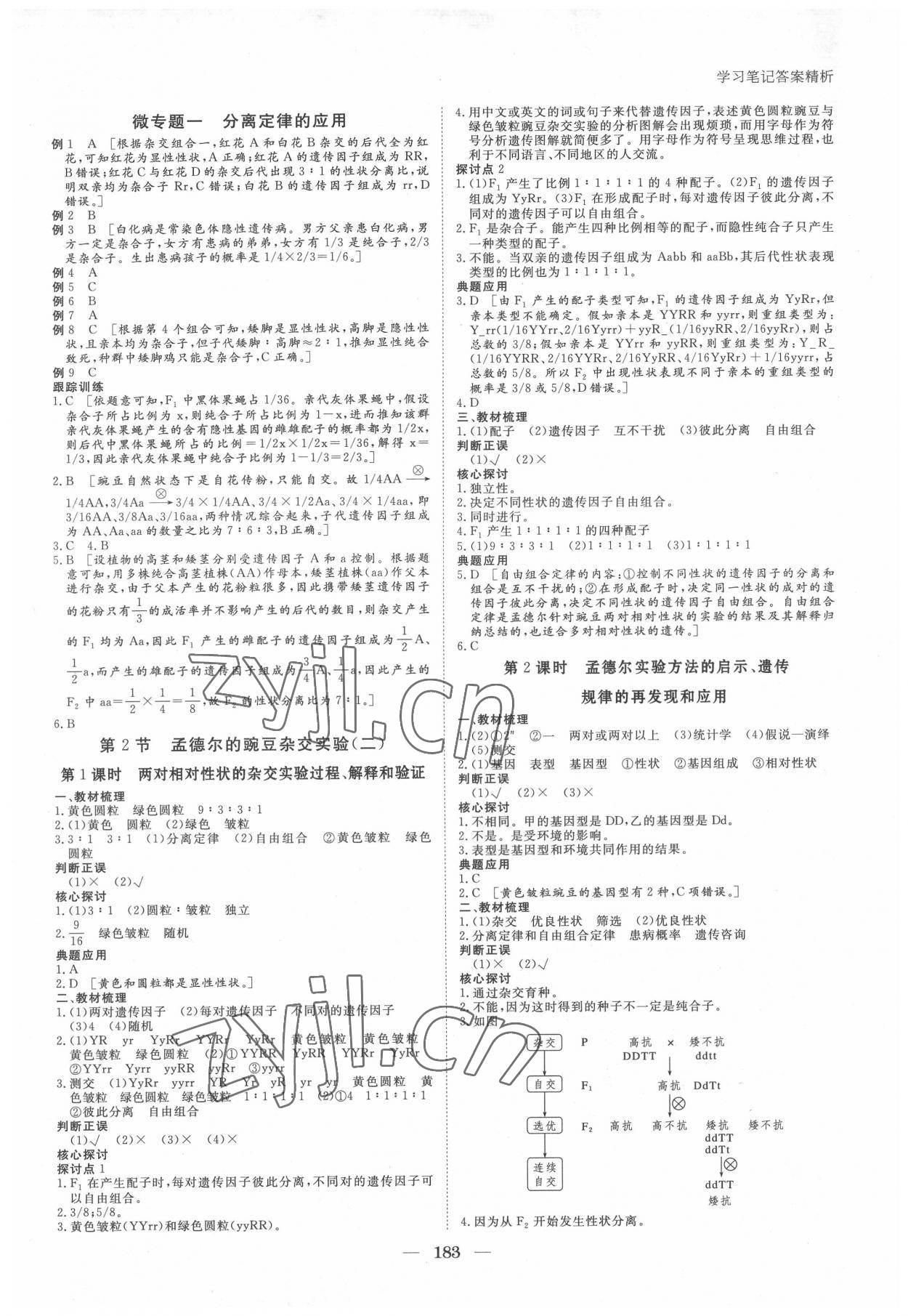 2022年步步高學習筆記生物必修2人教版遺傳與進化 參考答案第2頁