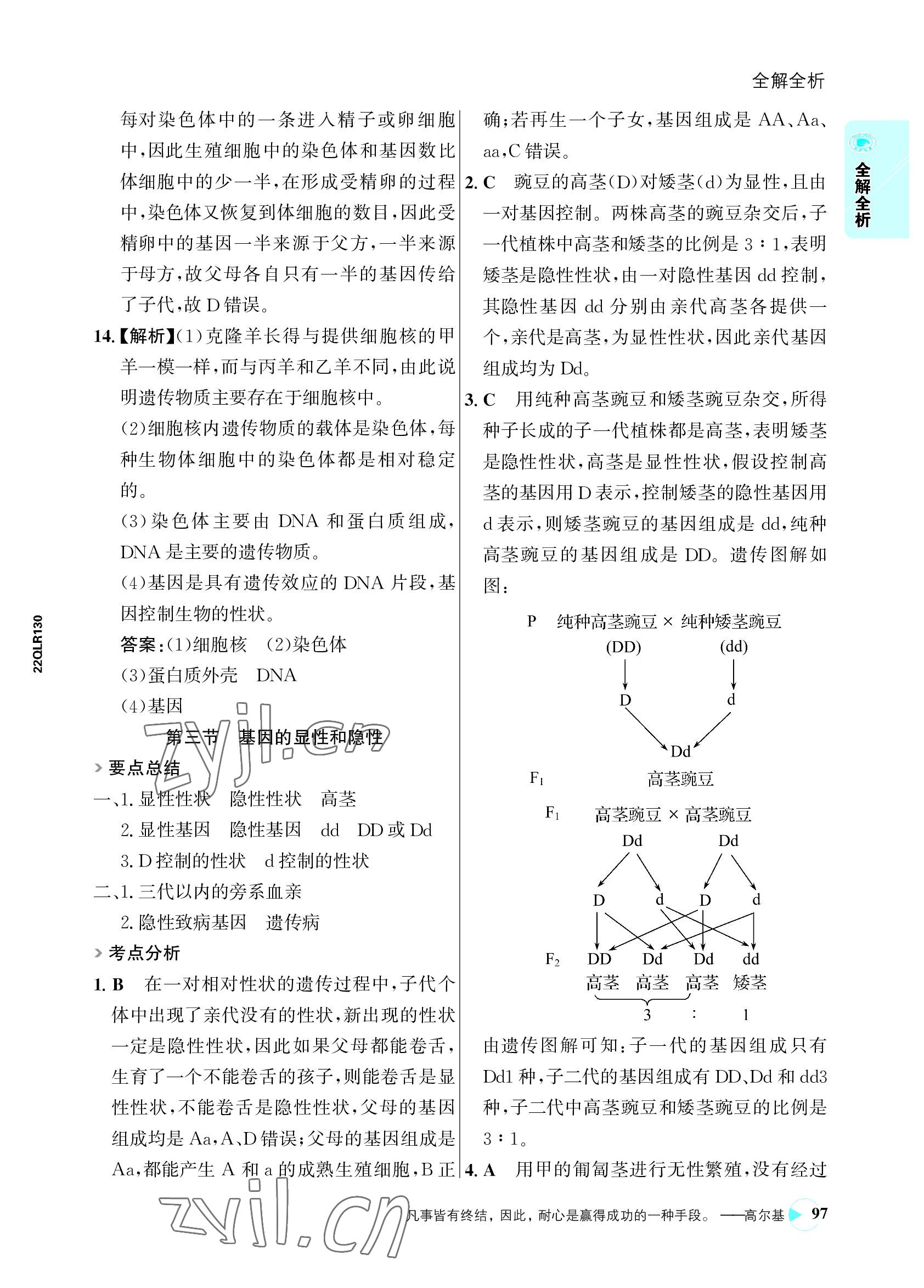 2022年世紀金榜活學(xué)巧練八年級生物下冊人教版 參考答案第13頁