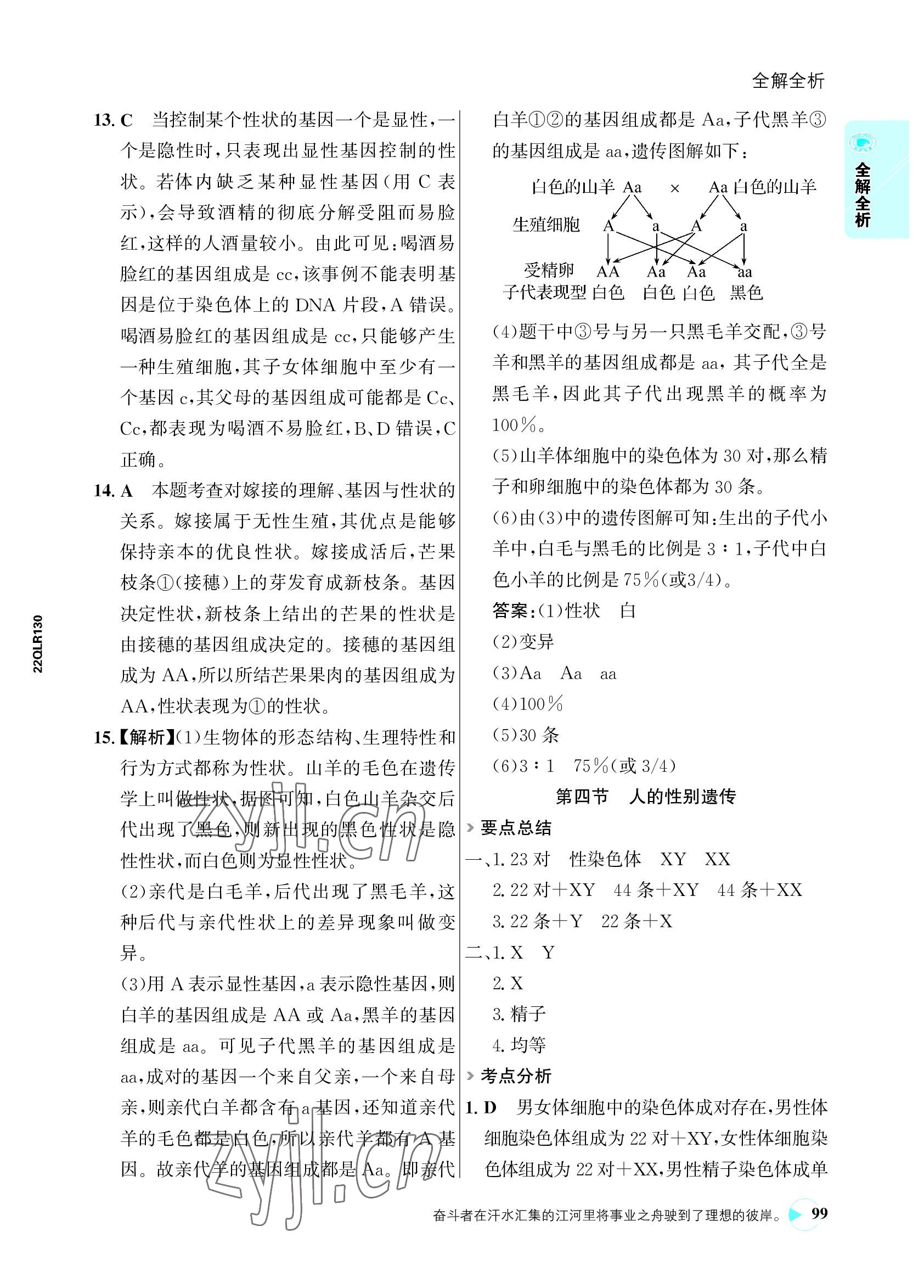 2022年世紀(jì)金榜活學(xué)巧練八年級(jí)生物下冊(cè)人教版 參考答案第15頁(yè)