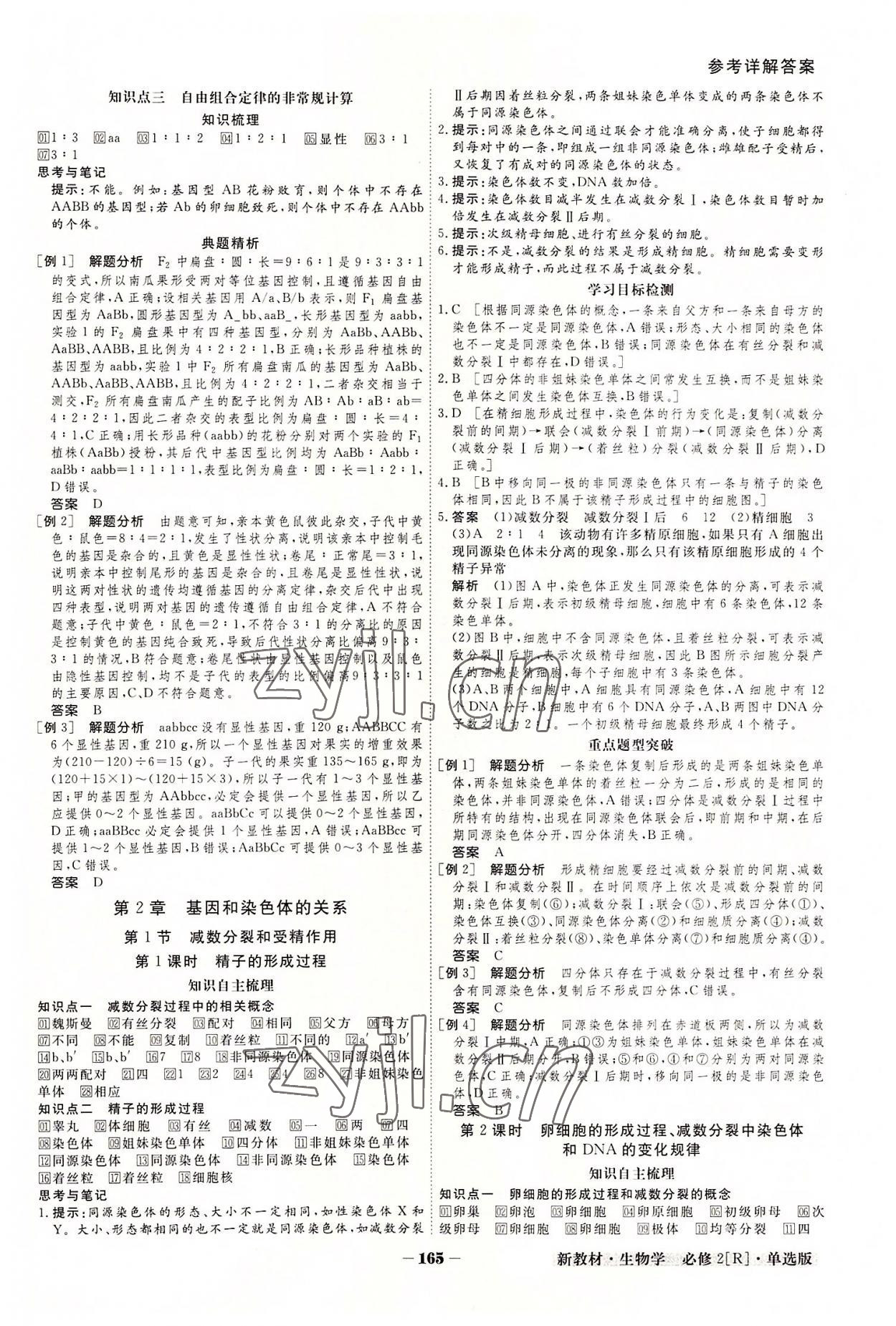 2022年金版教程高中新課程創(chuàng)新導(dǎo)學(xué)案高中生物必修2人教版 參考答案第5頁