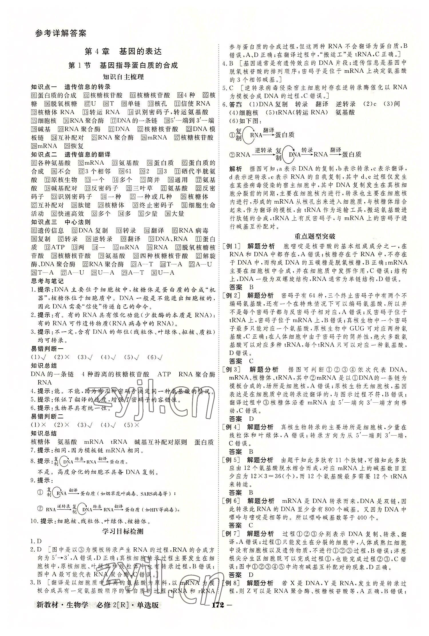 2022年金版教程高中新课程创新导学案高中生物必修2人教版 参考答案第12页